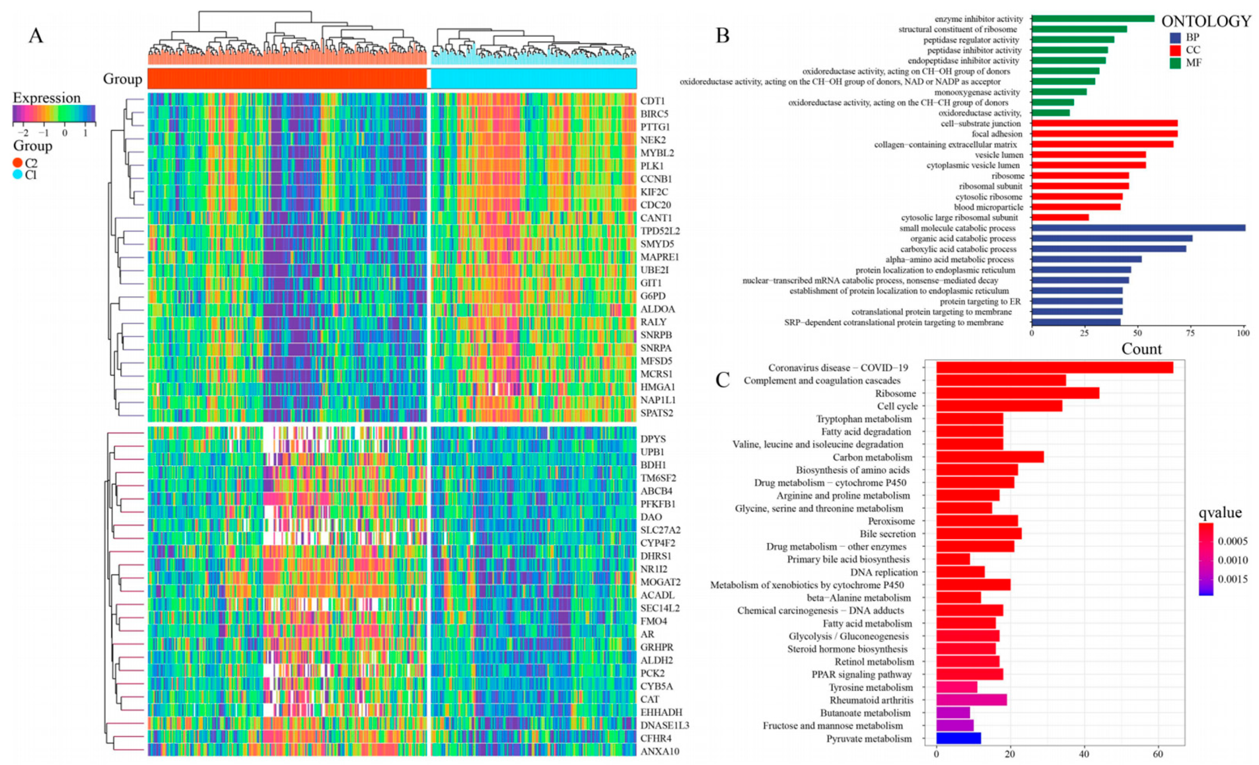 Metabolites 13 01116 g004 Metabolites 13 01116 g004