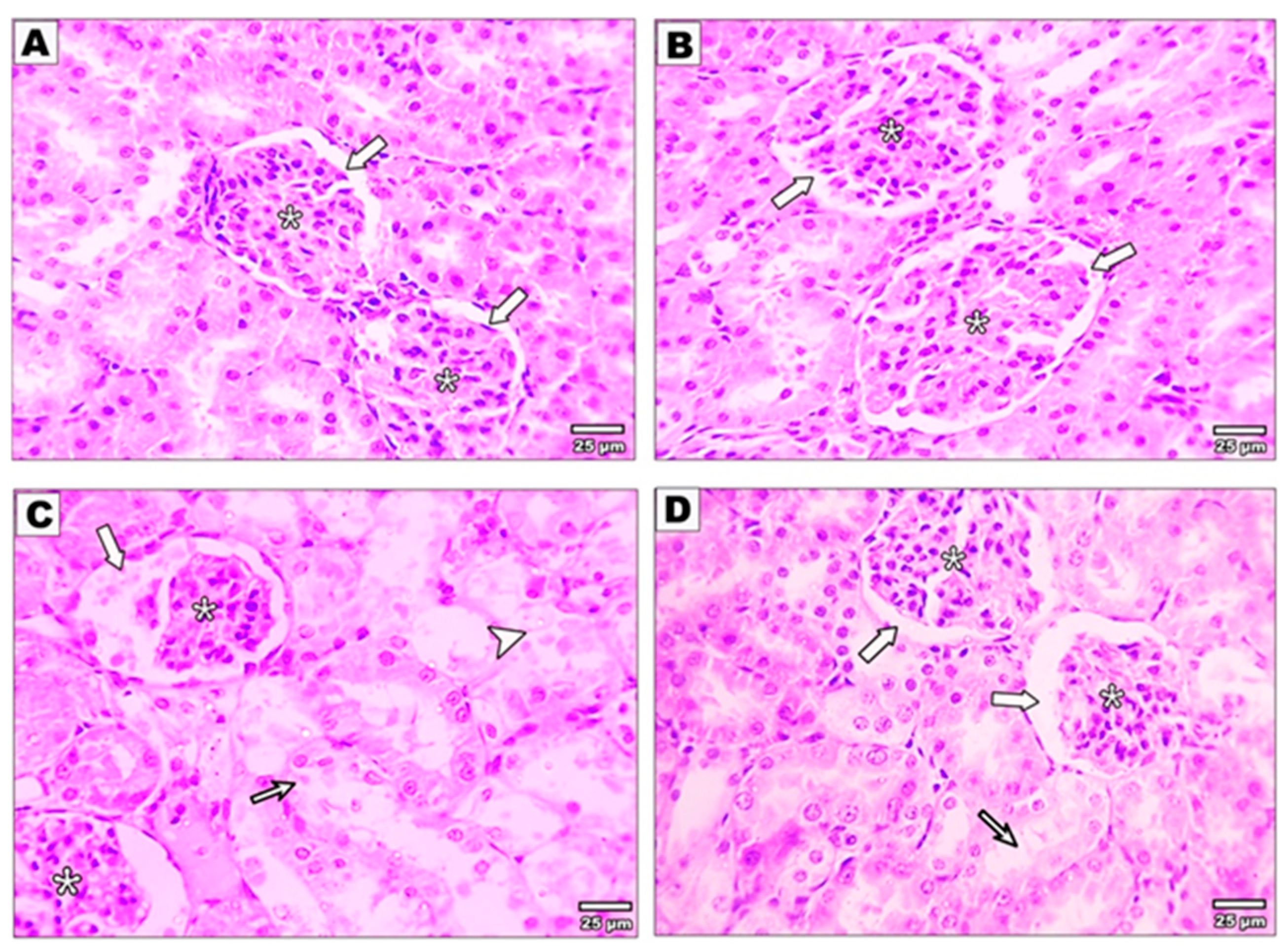 Metabolites 13 01117 g001