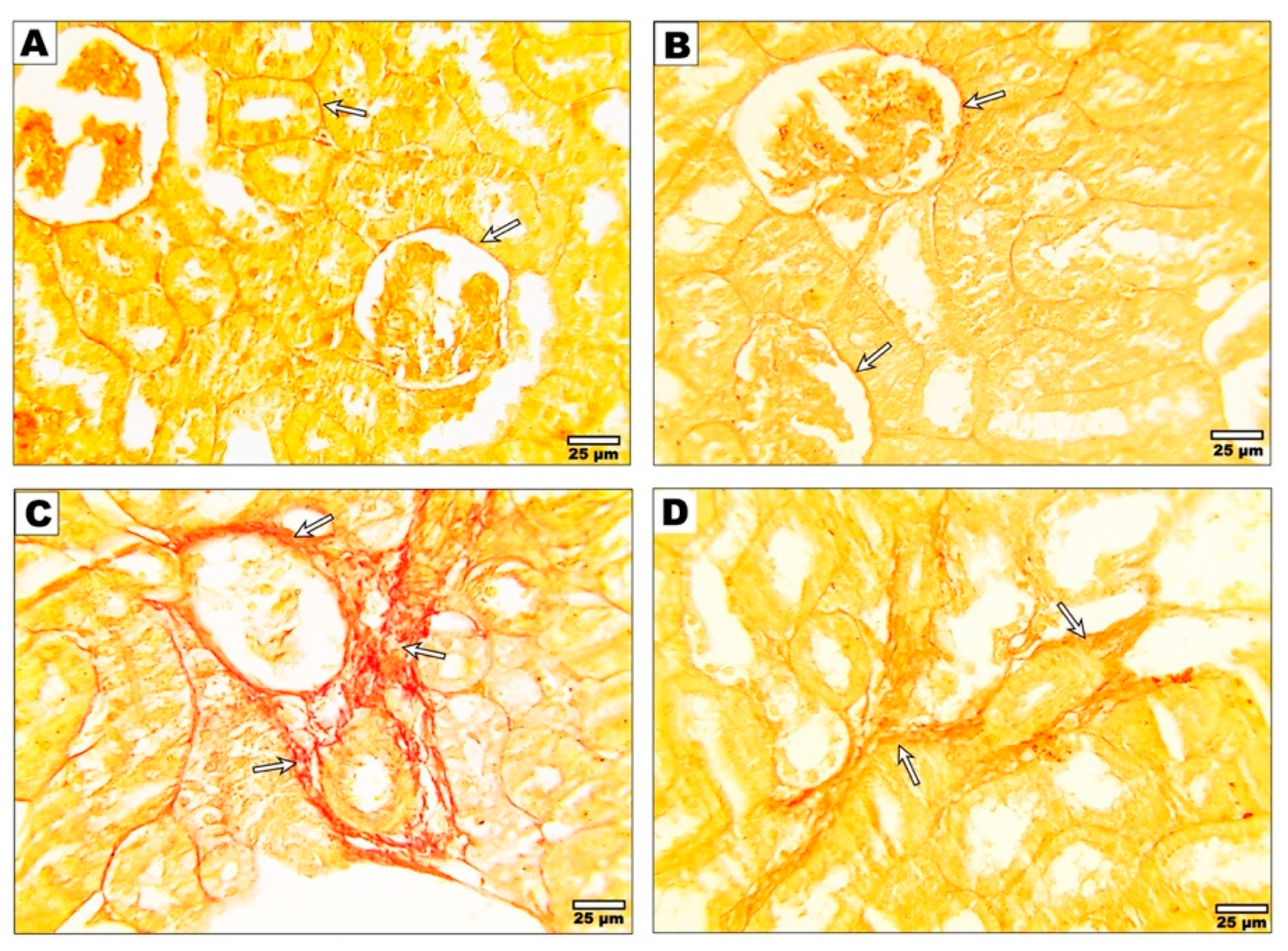 Metabolites 13 01117 g002