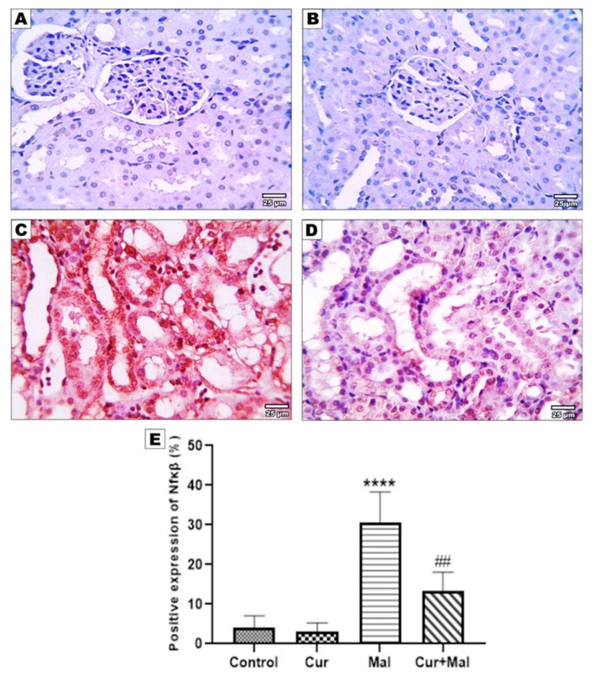 Metabolites 13 01117 g003
