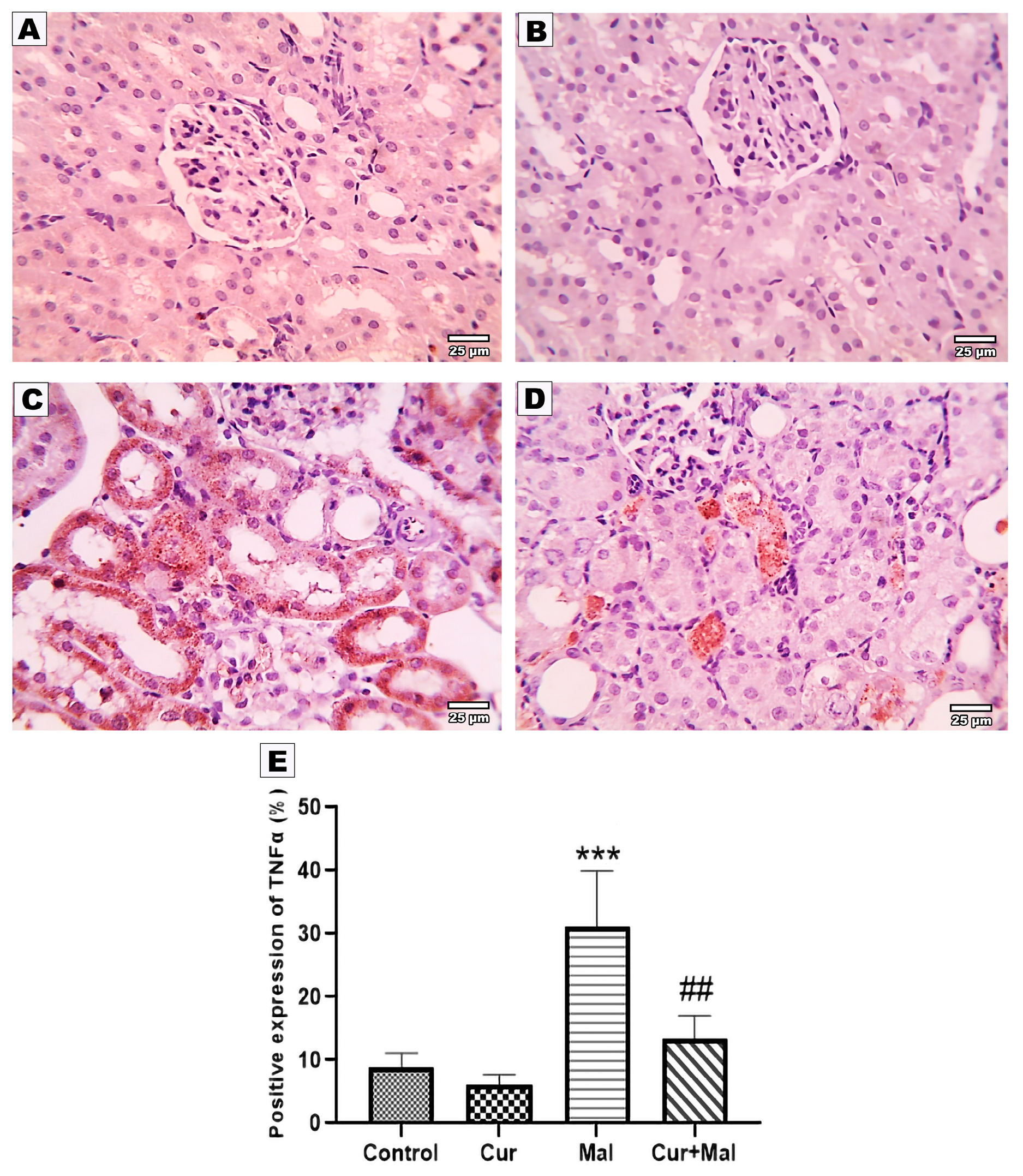 Metabolites 13 01117 g004