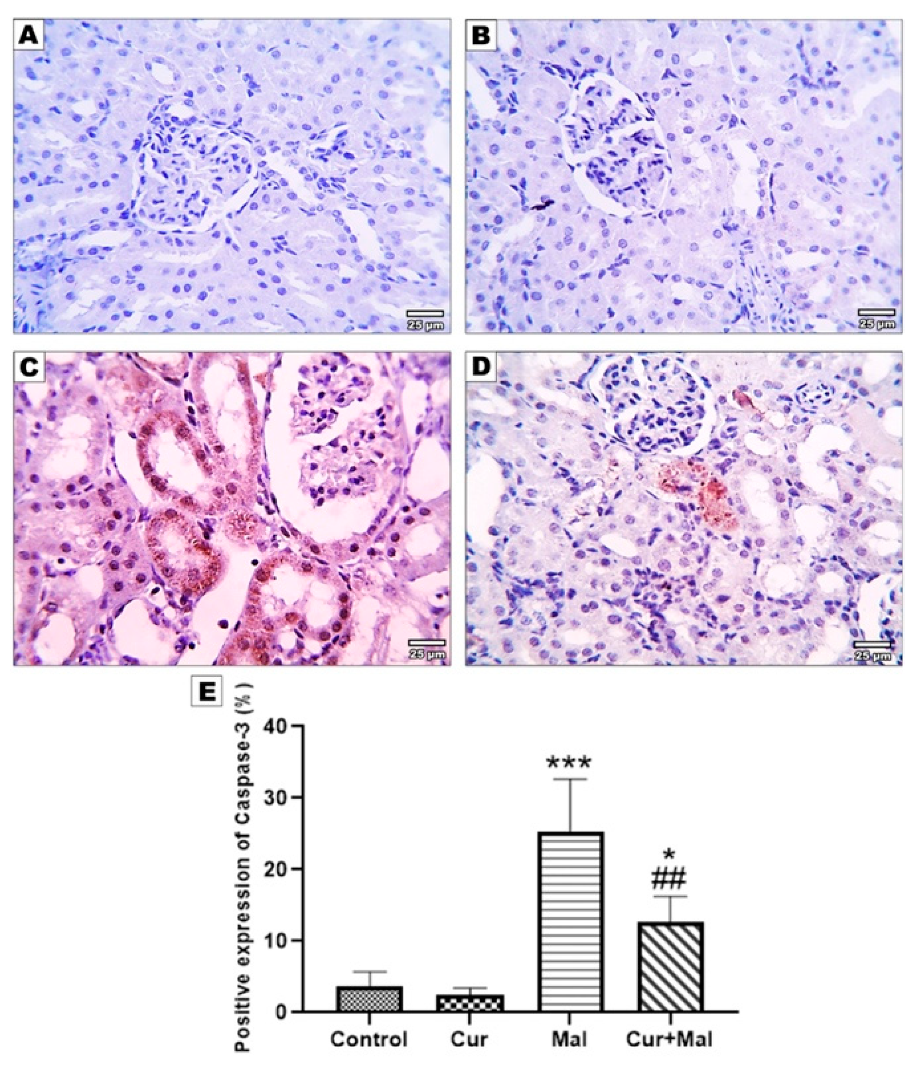 Metabolites 13 01117 g005