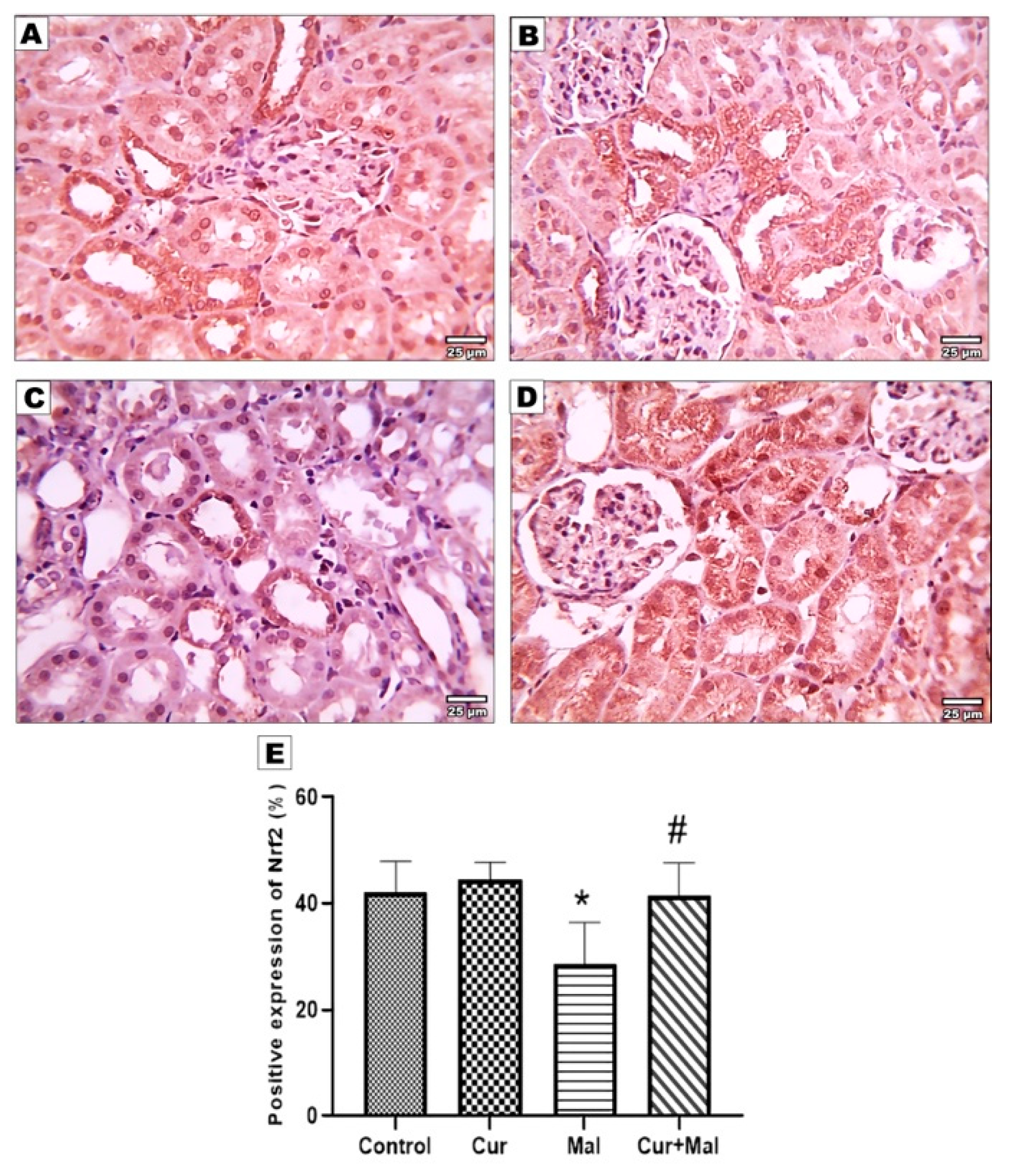 Metabolites 13 01117 g006