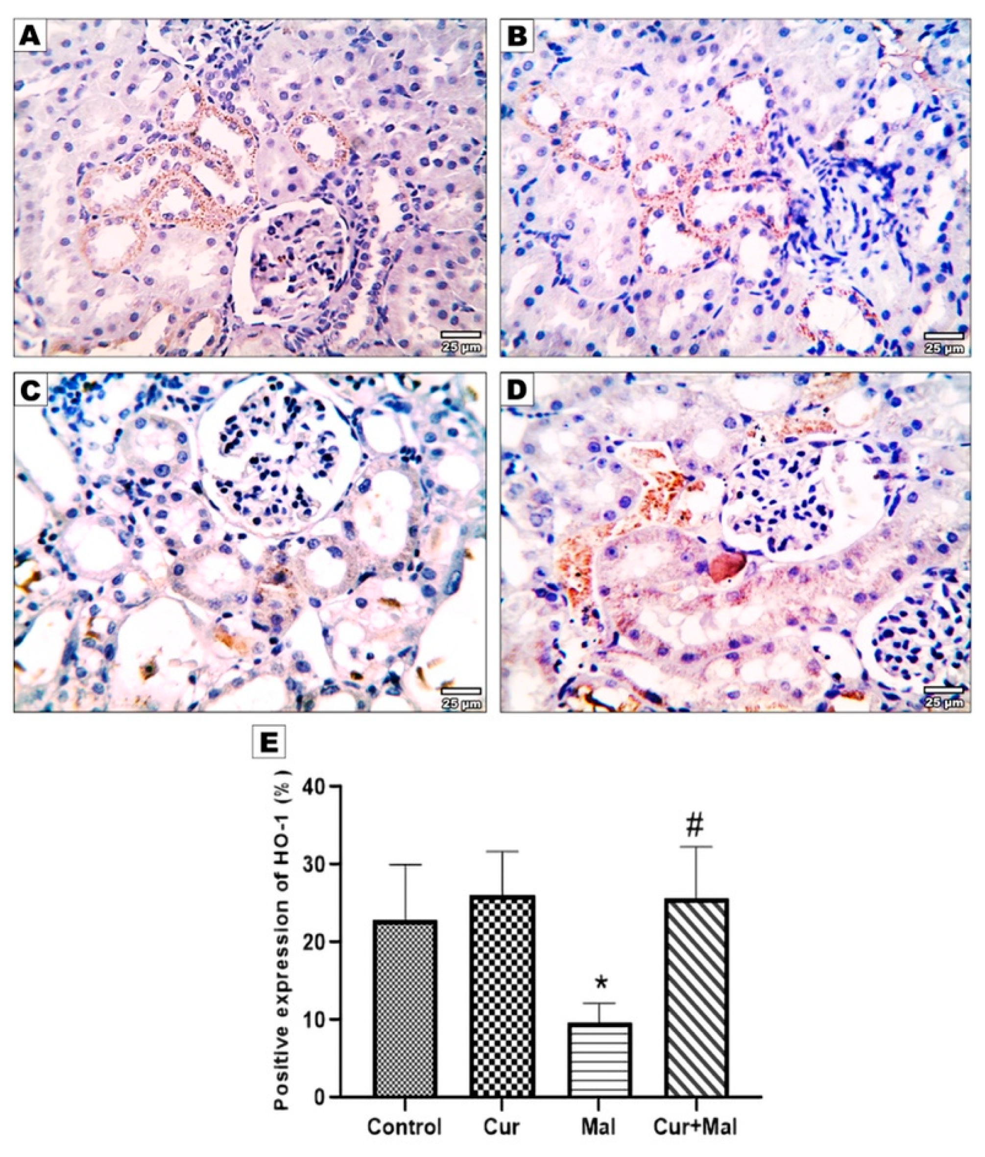 Metabolites 13 01117 g007