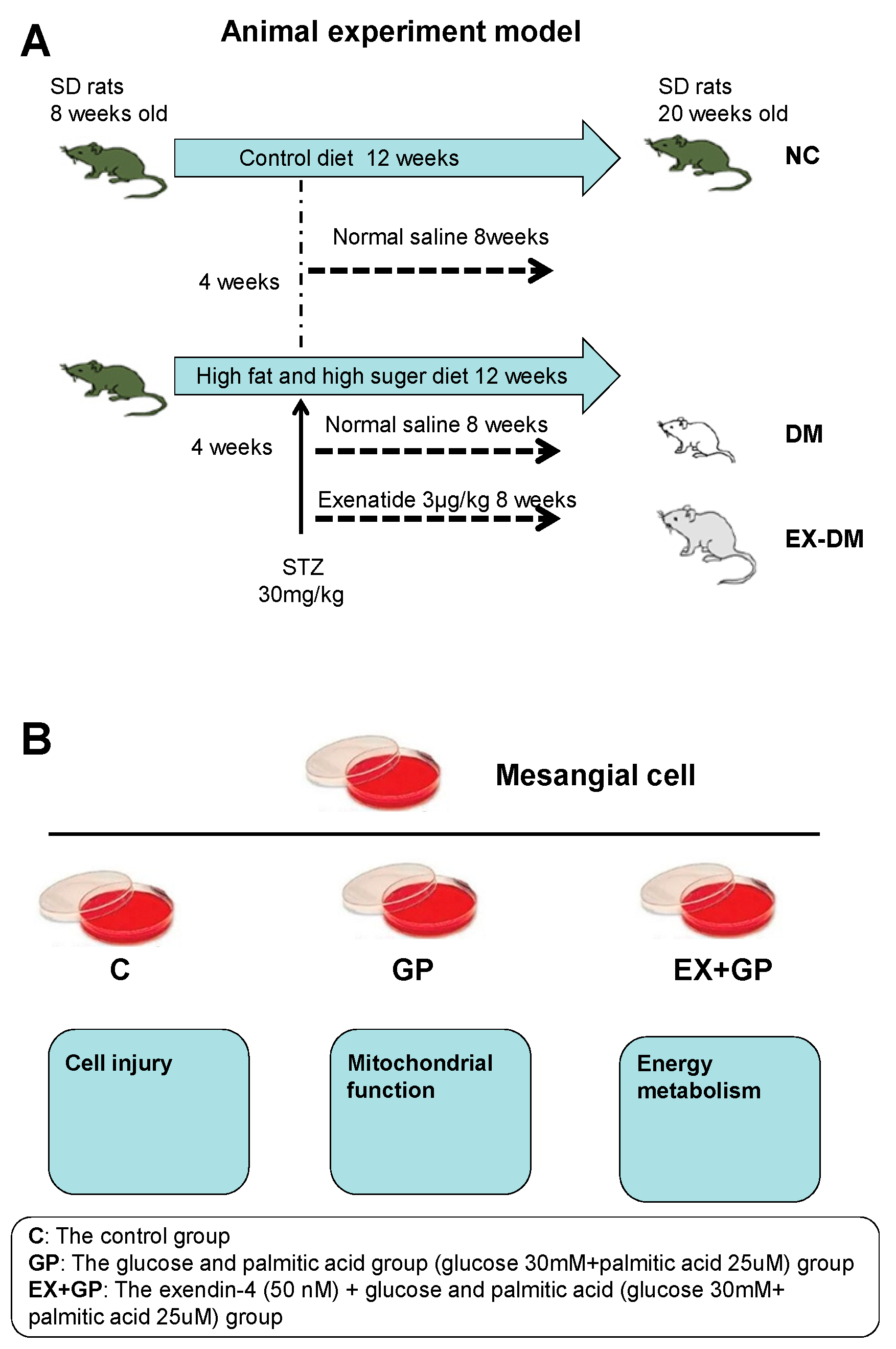 Metabolites 13 01121 g001