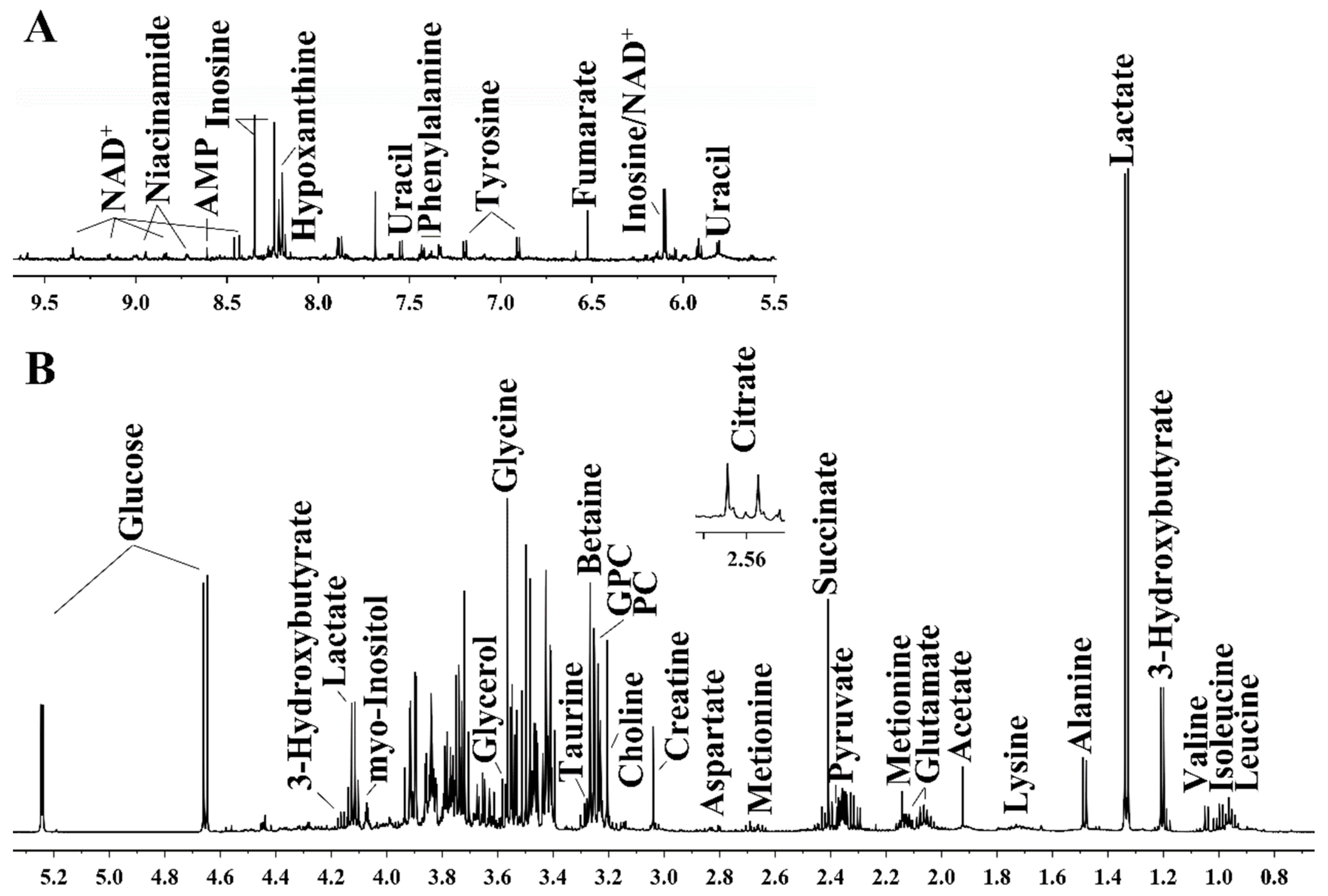 Metabolites 13 01121 g003