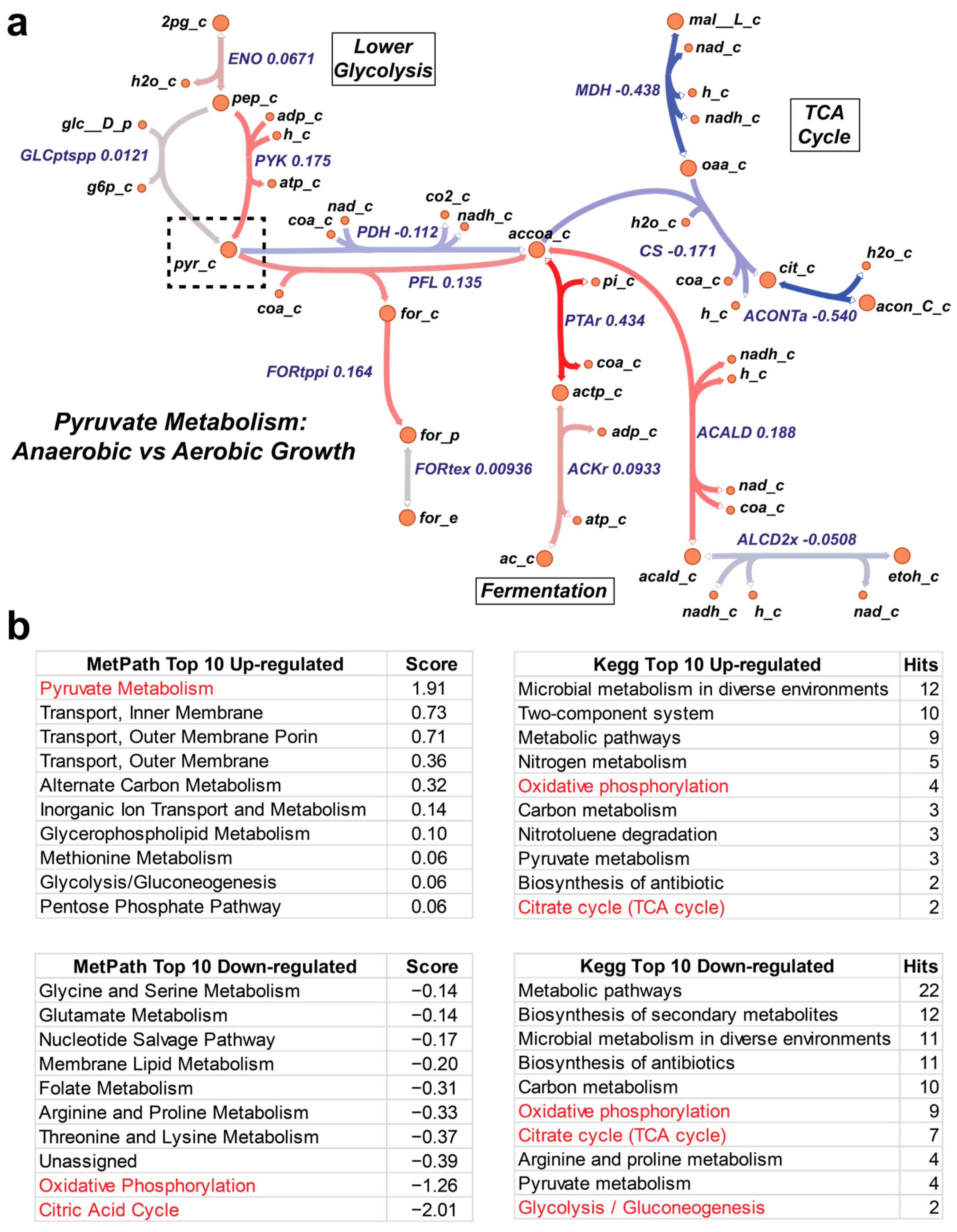 Metabolites 13 01127 g004