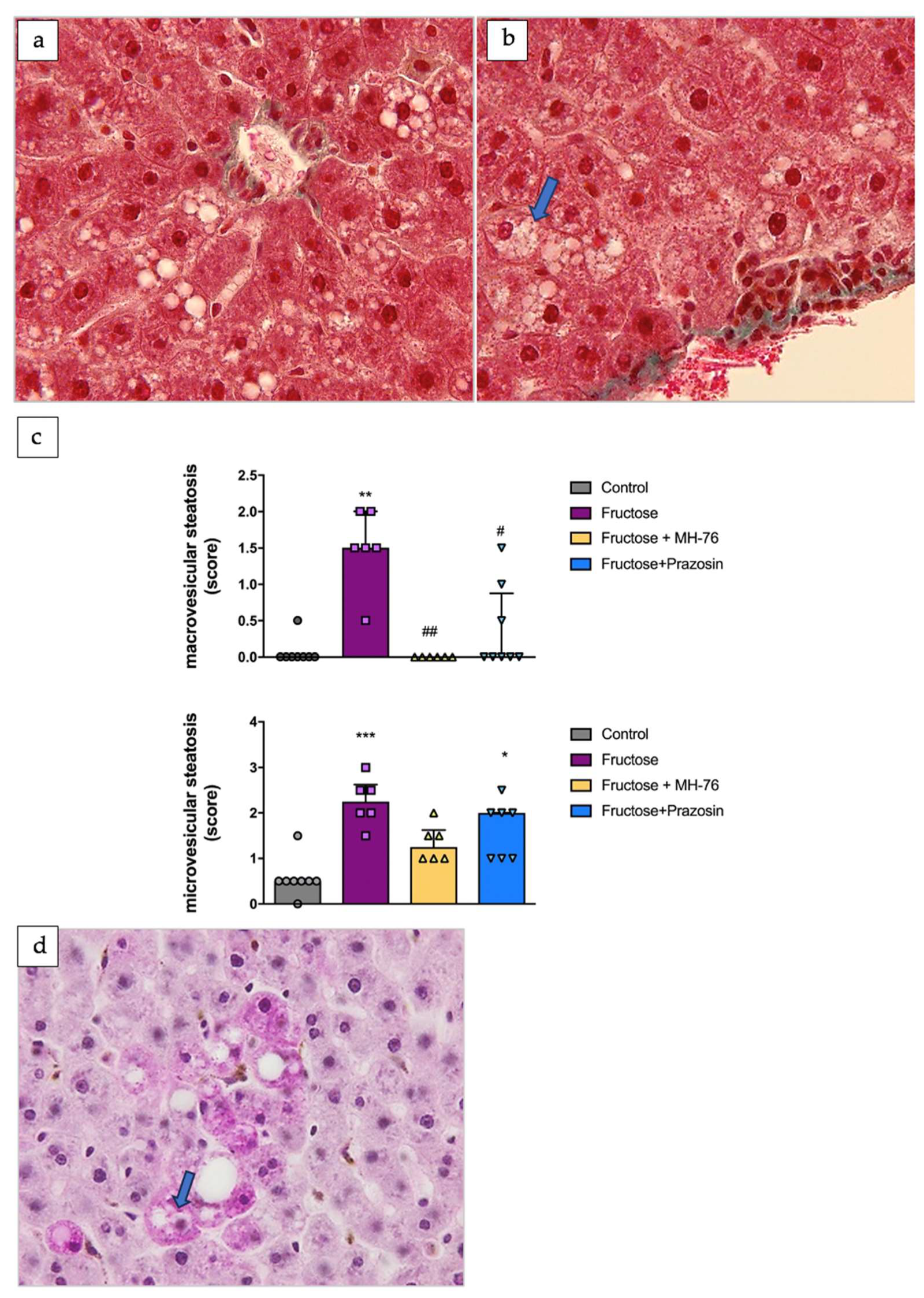 Metabolites 13 01130 g007