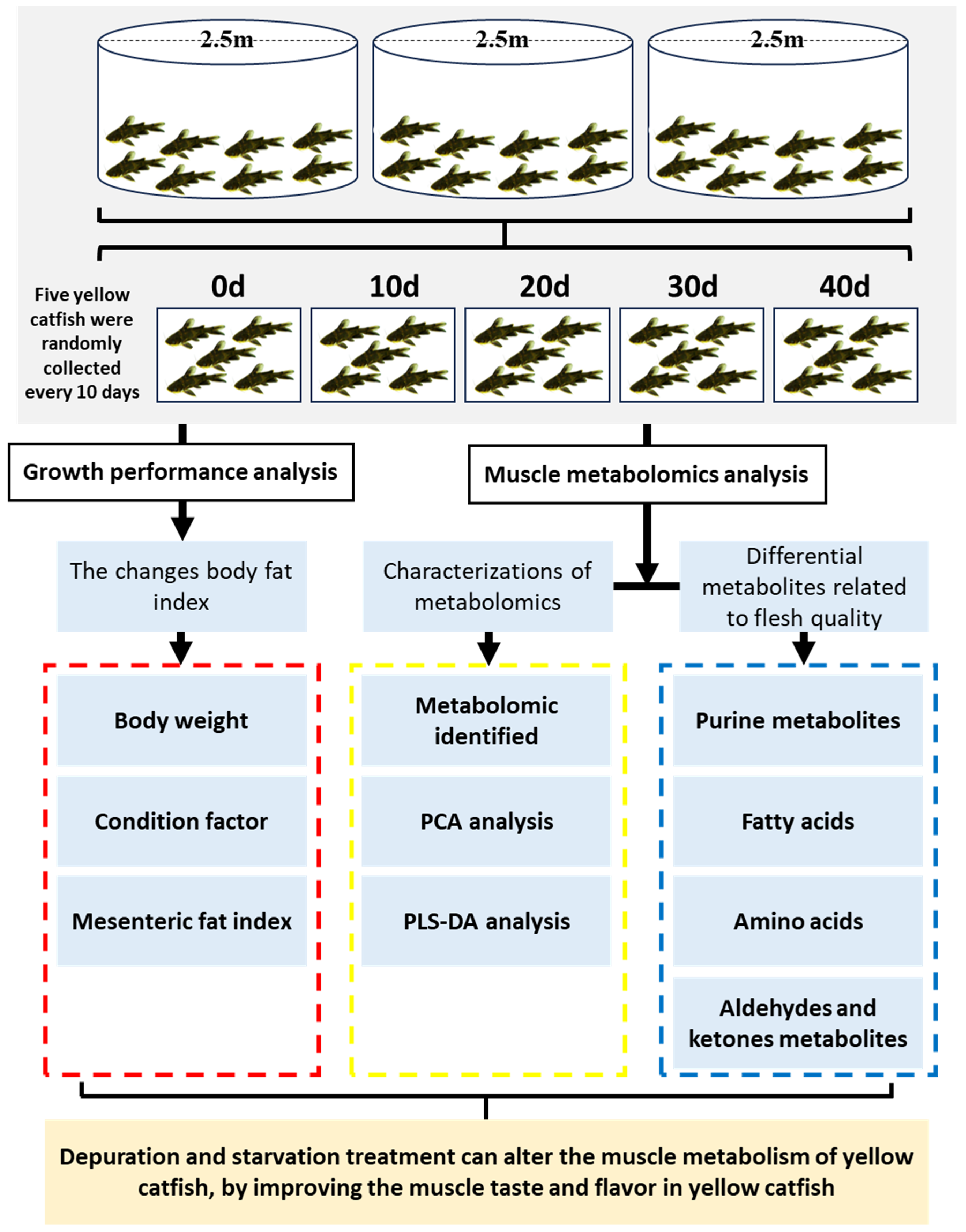 Metabolites 13 01137 g001