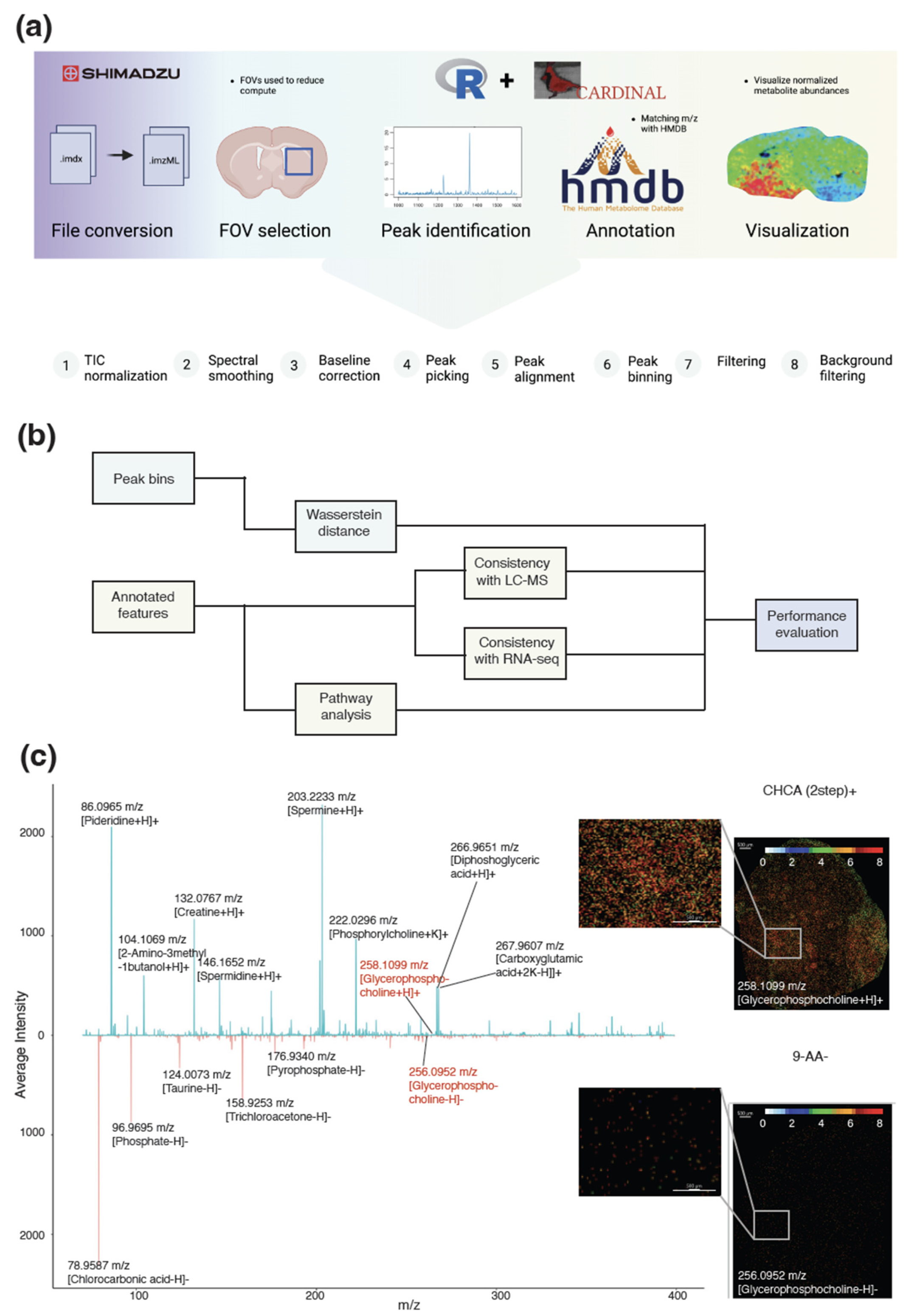 Metabolites 13 01139 g001
