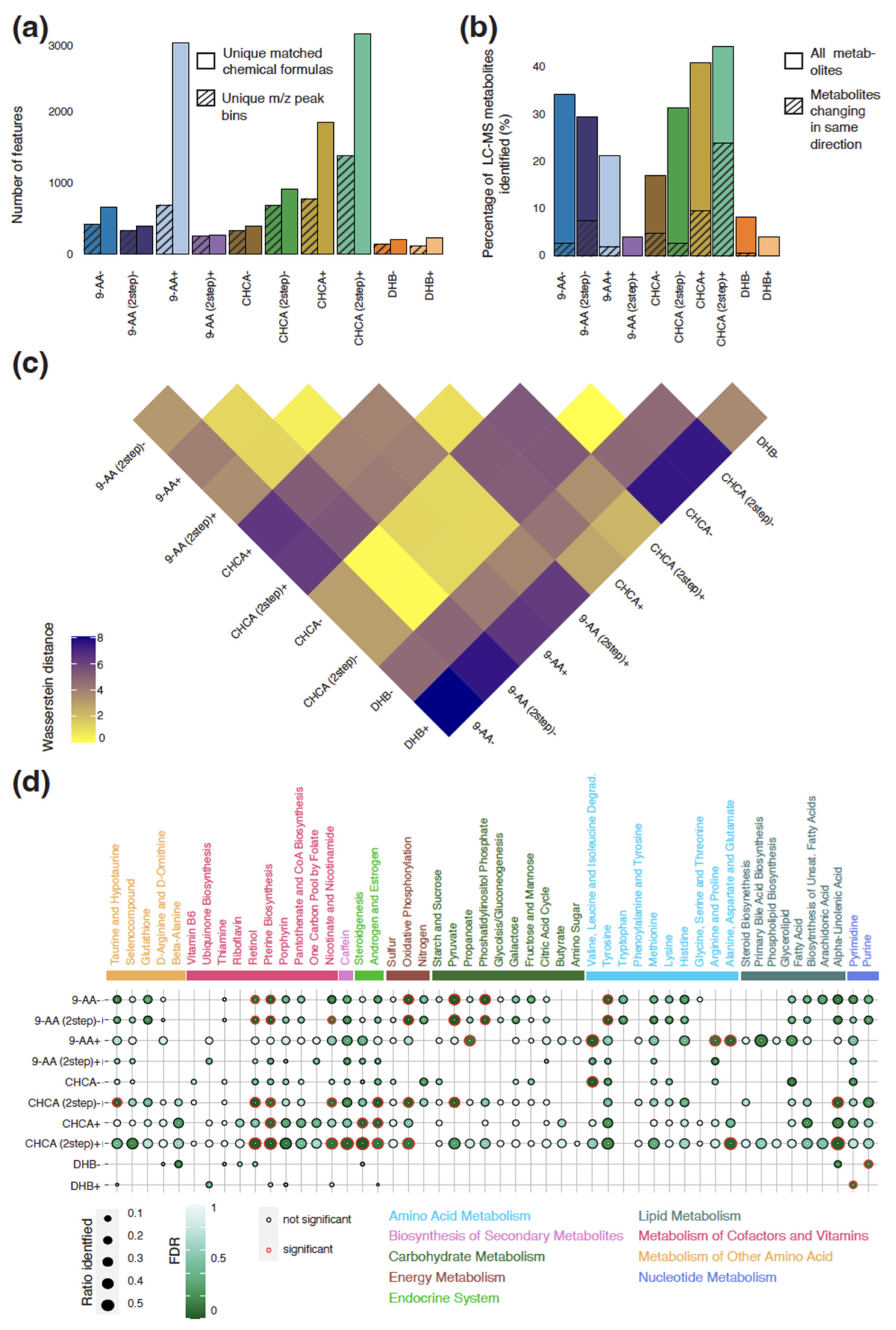 Metabolites 13 01139 g002