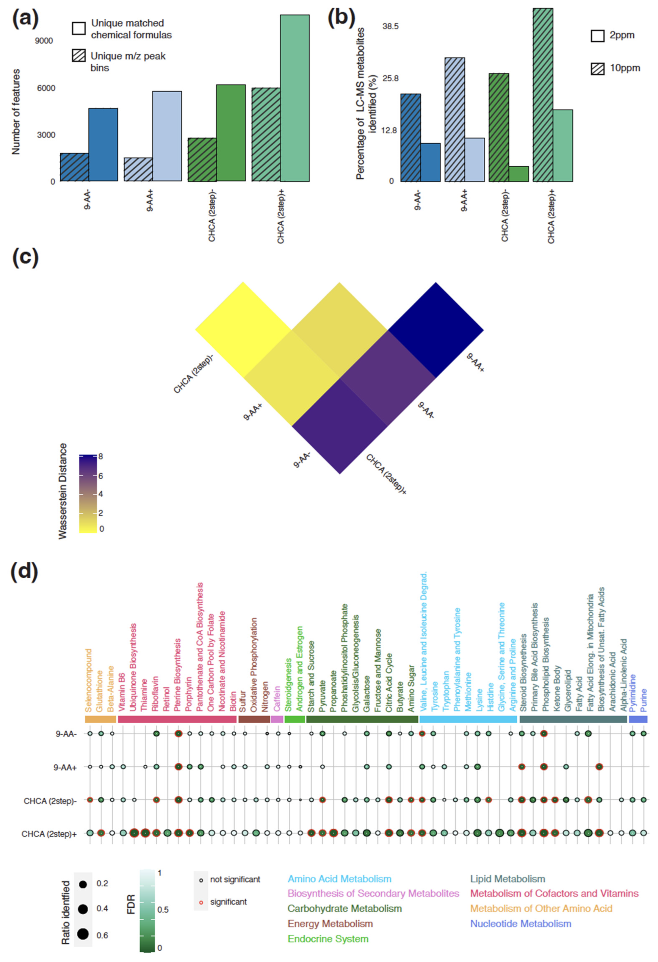 Metabolites 13 01139 g003