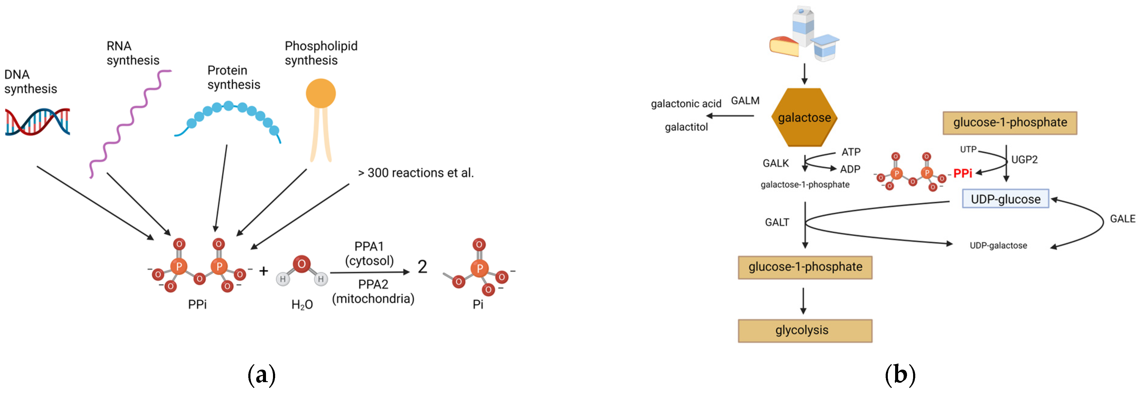 Metabolites 13 01141 g001