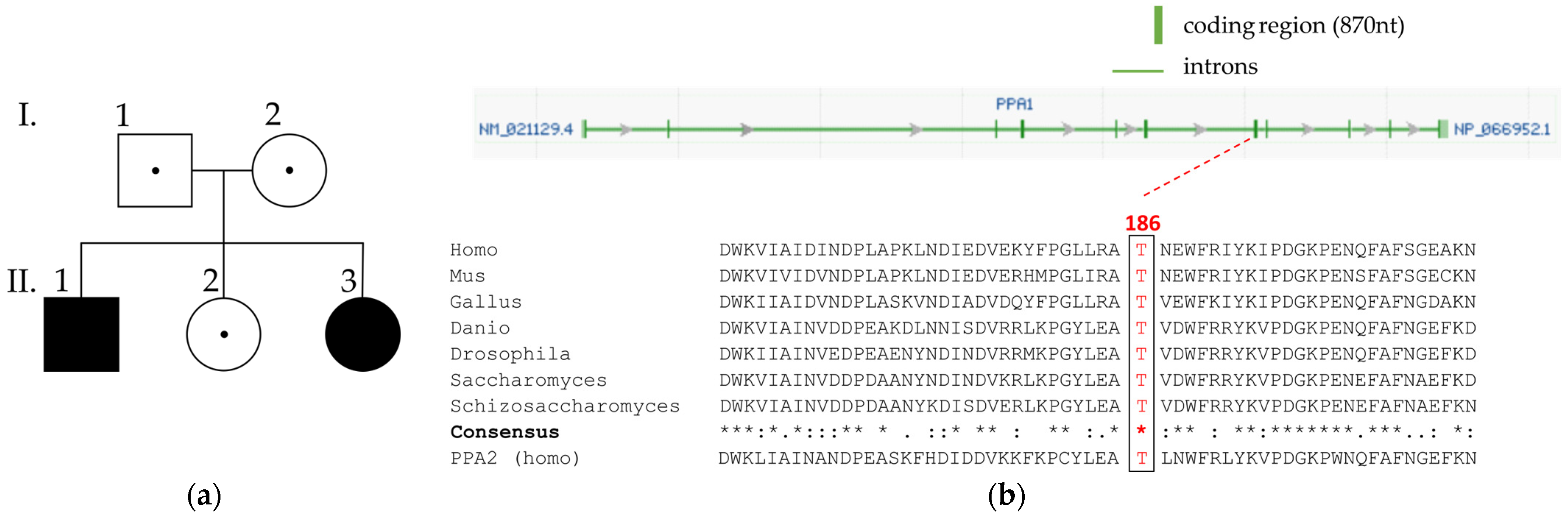 Metabolites 13 01141 g002