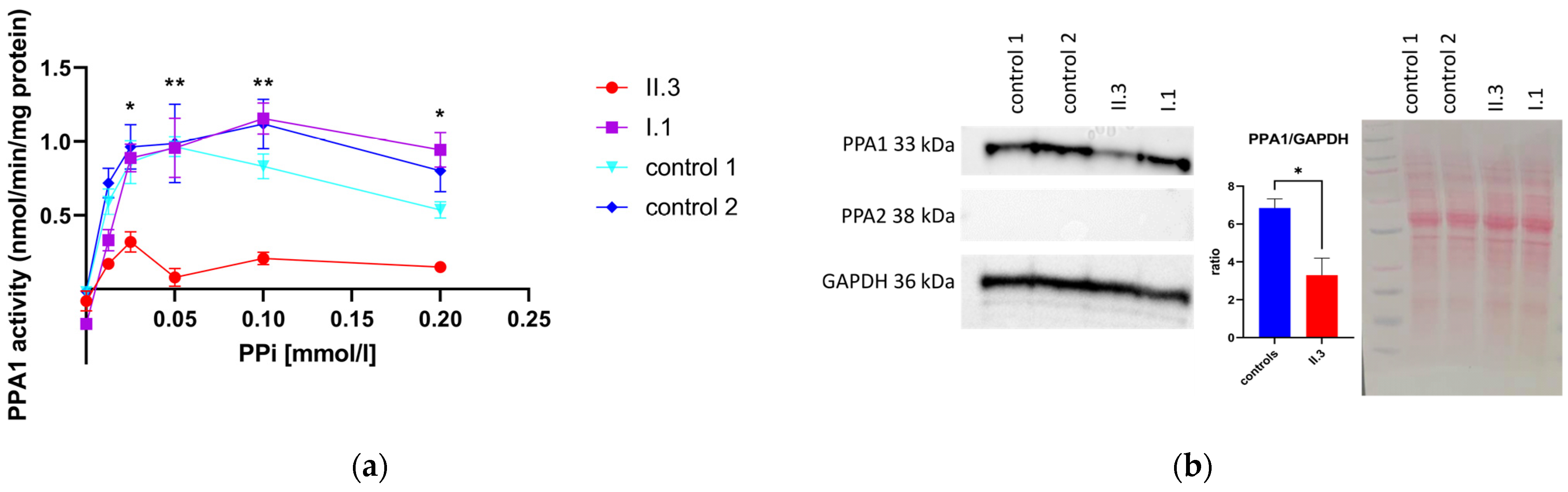 Metabolites 13 01141 g004