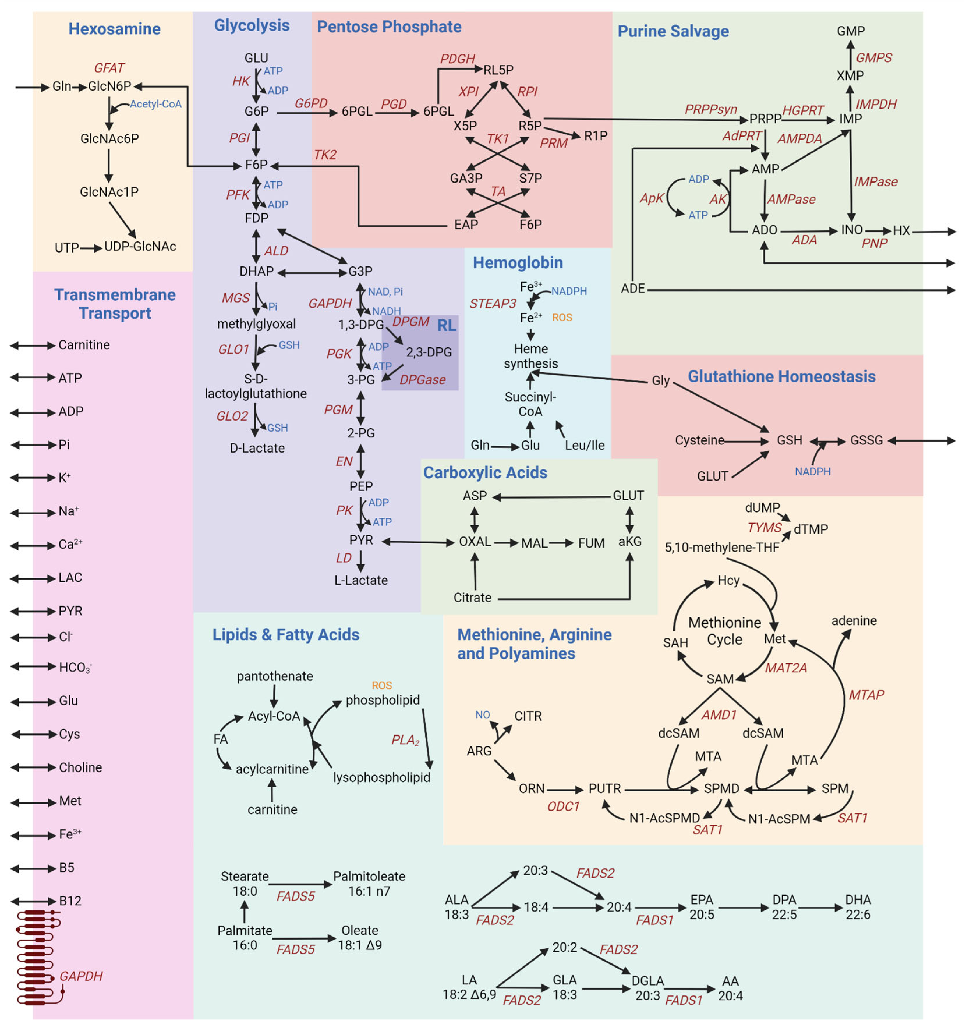 Metabolites 13 01145 g001 Metabolites 13 01145 g001