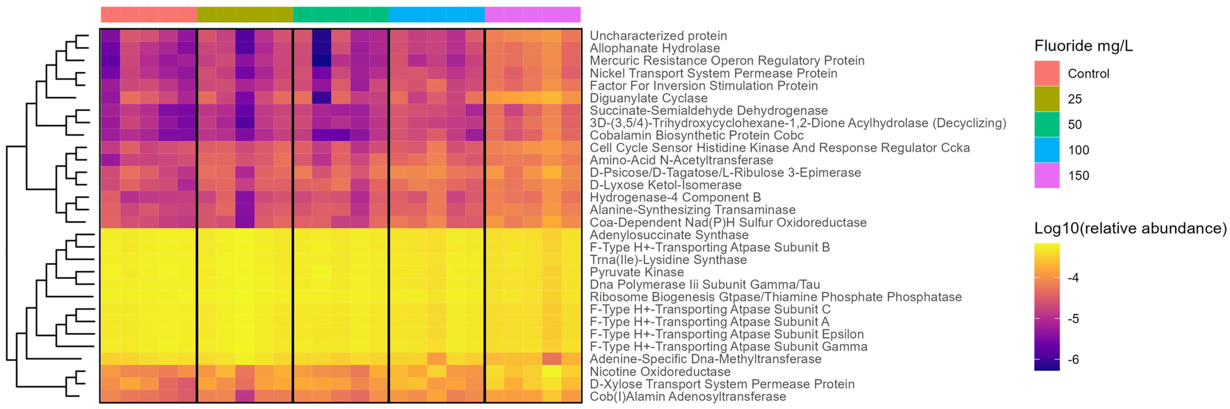 Metabolites 13 01159 g004