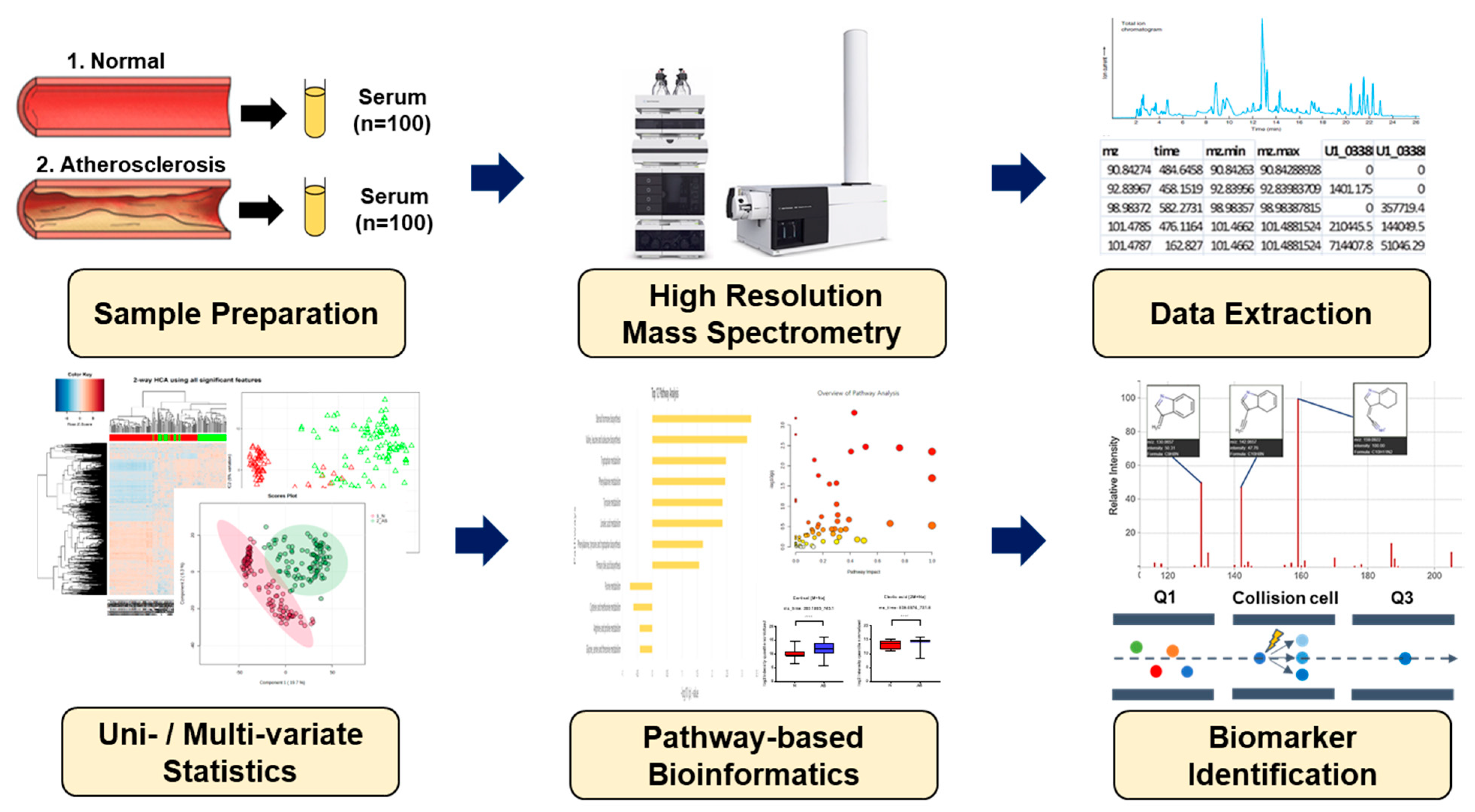 Metabolites 13 01160 g001