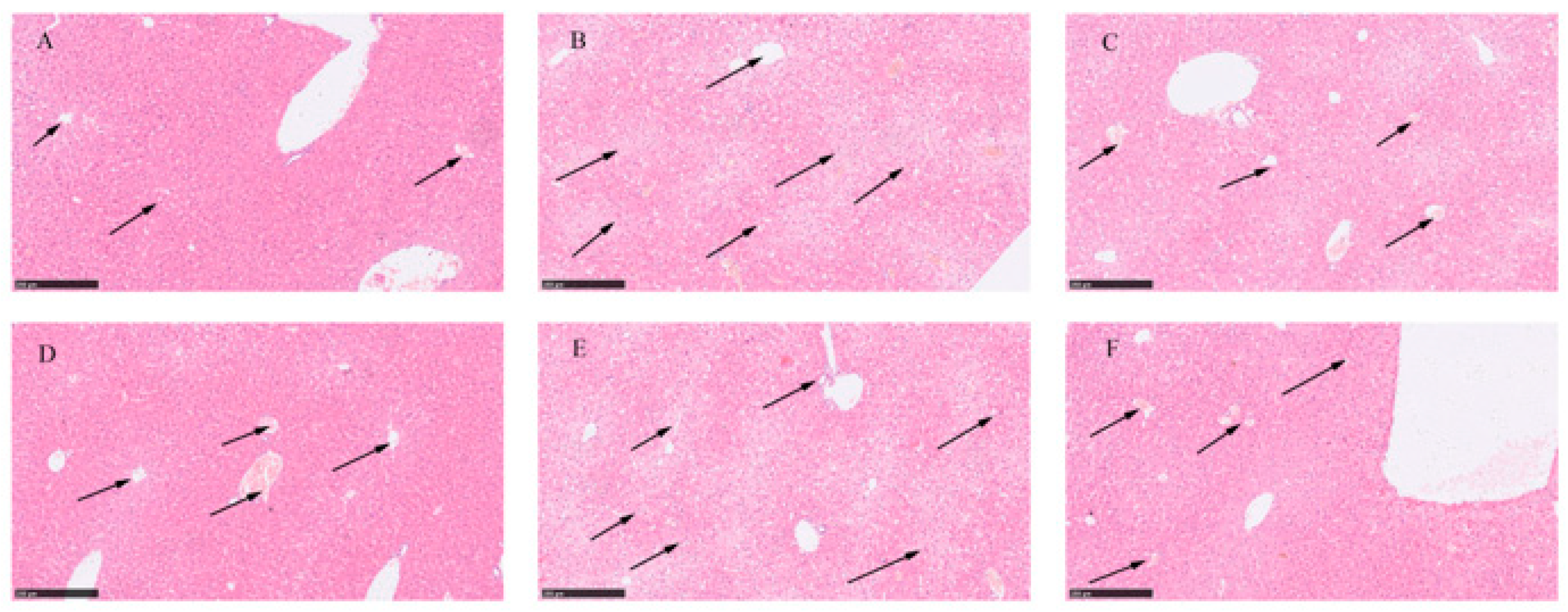 Metabolites 13 01164 g002