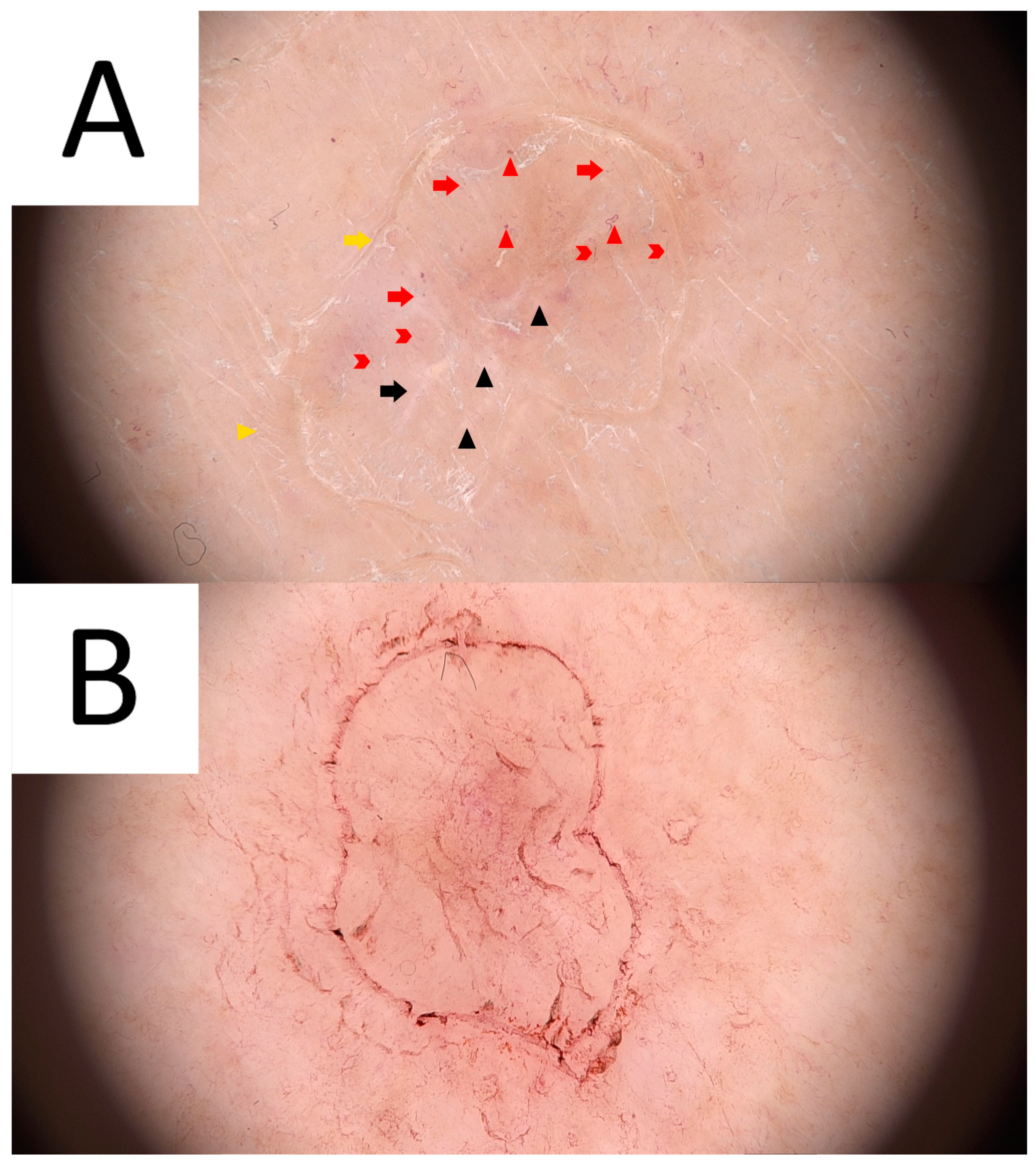 Metabolites 13 01176 g002