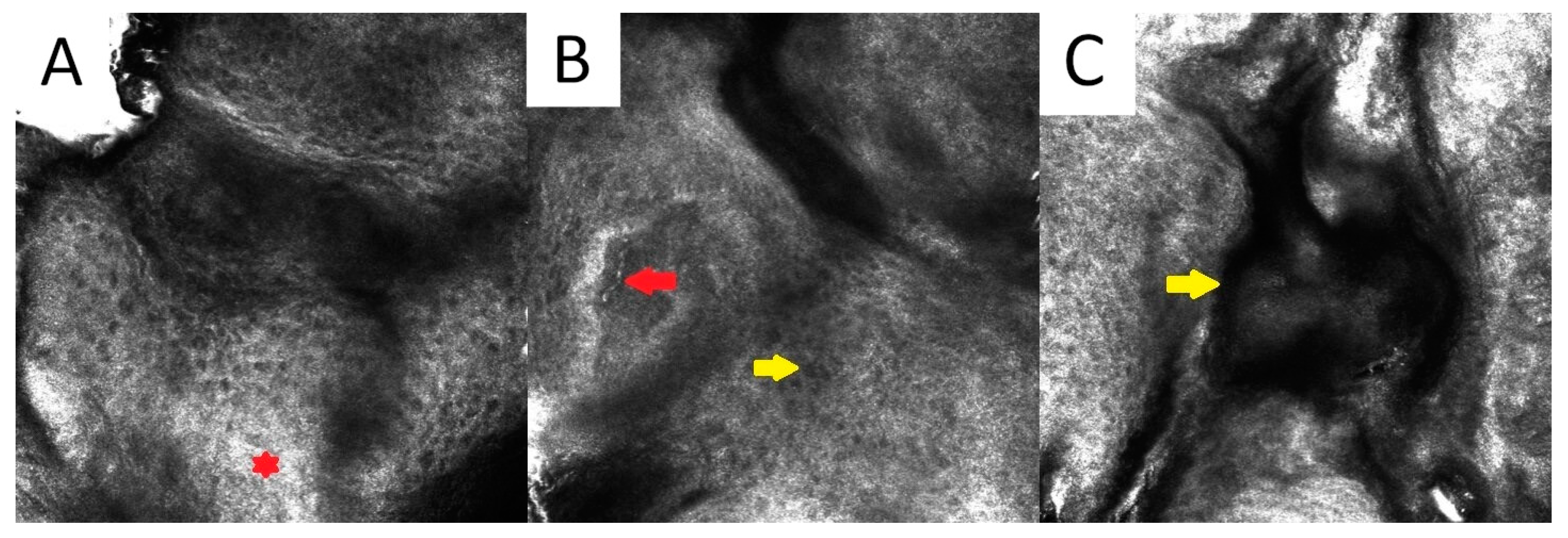 Metabolites 13 01176 g003