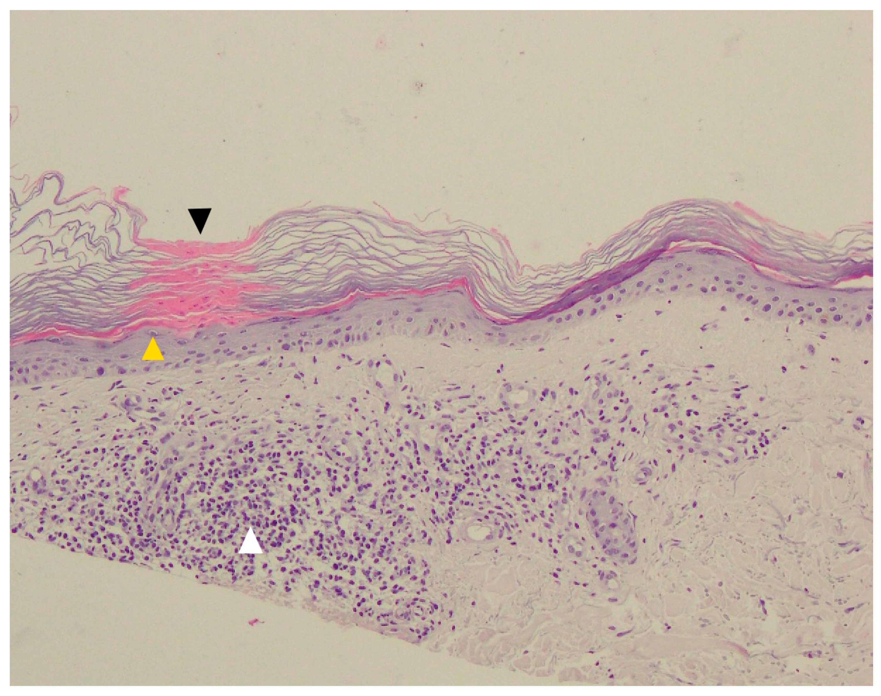 Metabolites 13 01176 g004
