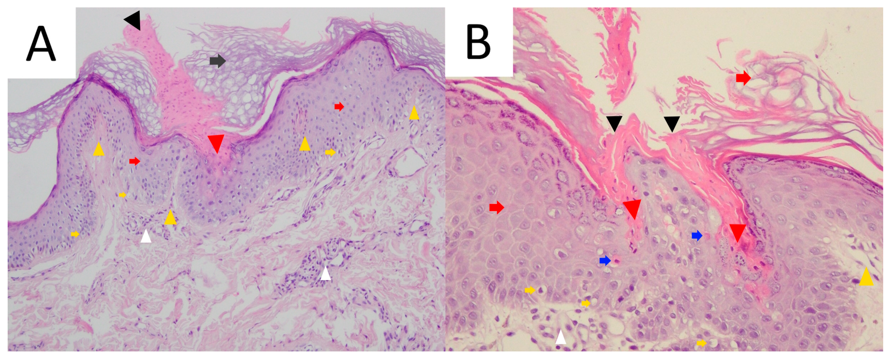 Metabolites 13 01176 g009