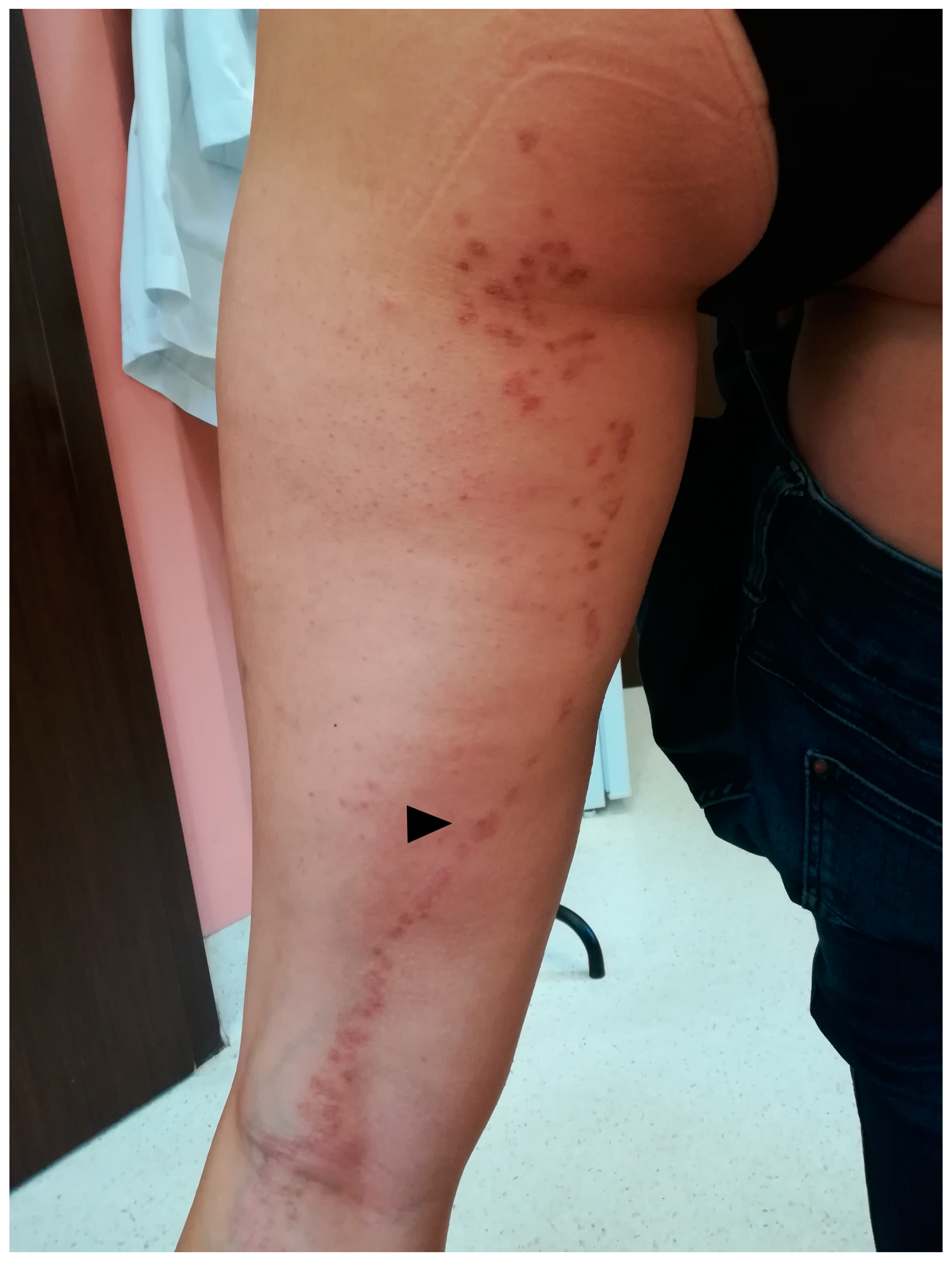 Metabolites 13 01176 g010