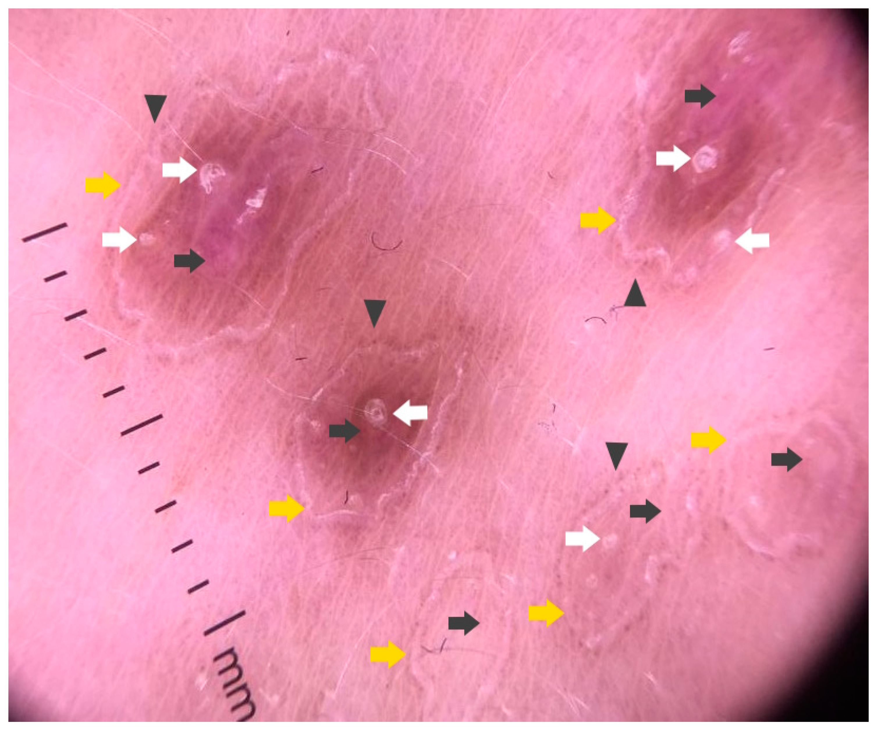 Metabolites 13 01176 g011