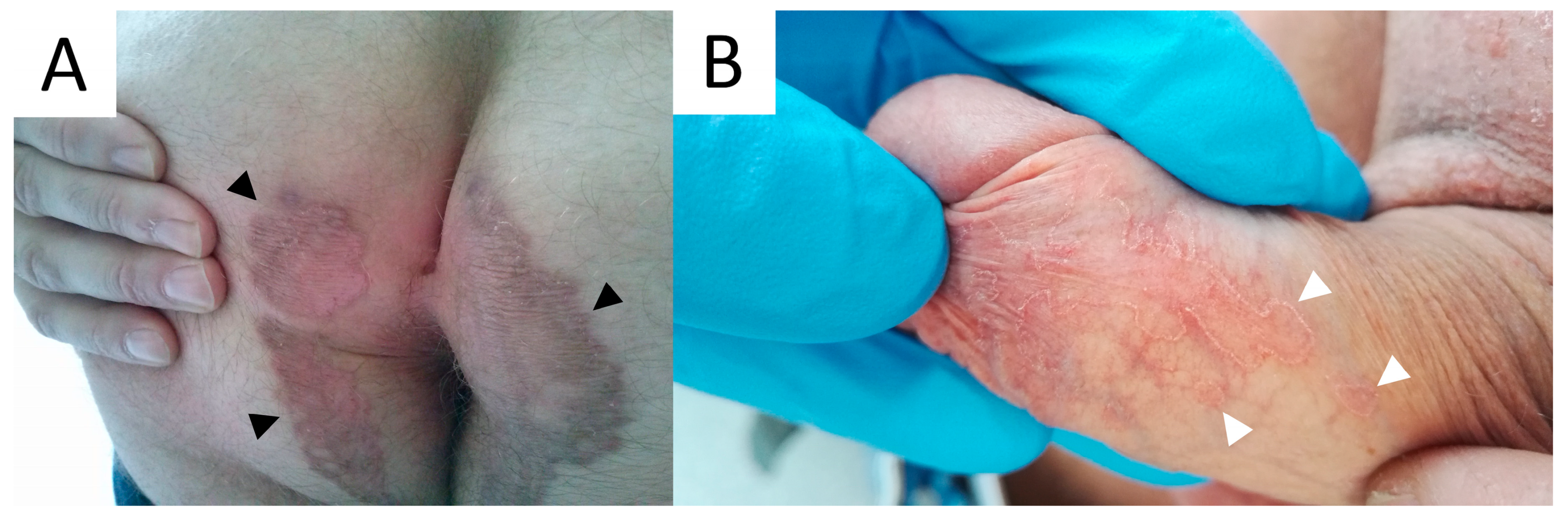 Metabolites 13 01176 g015