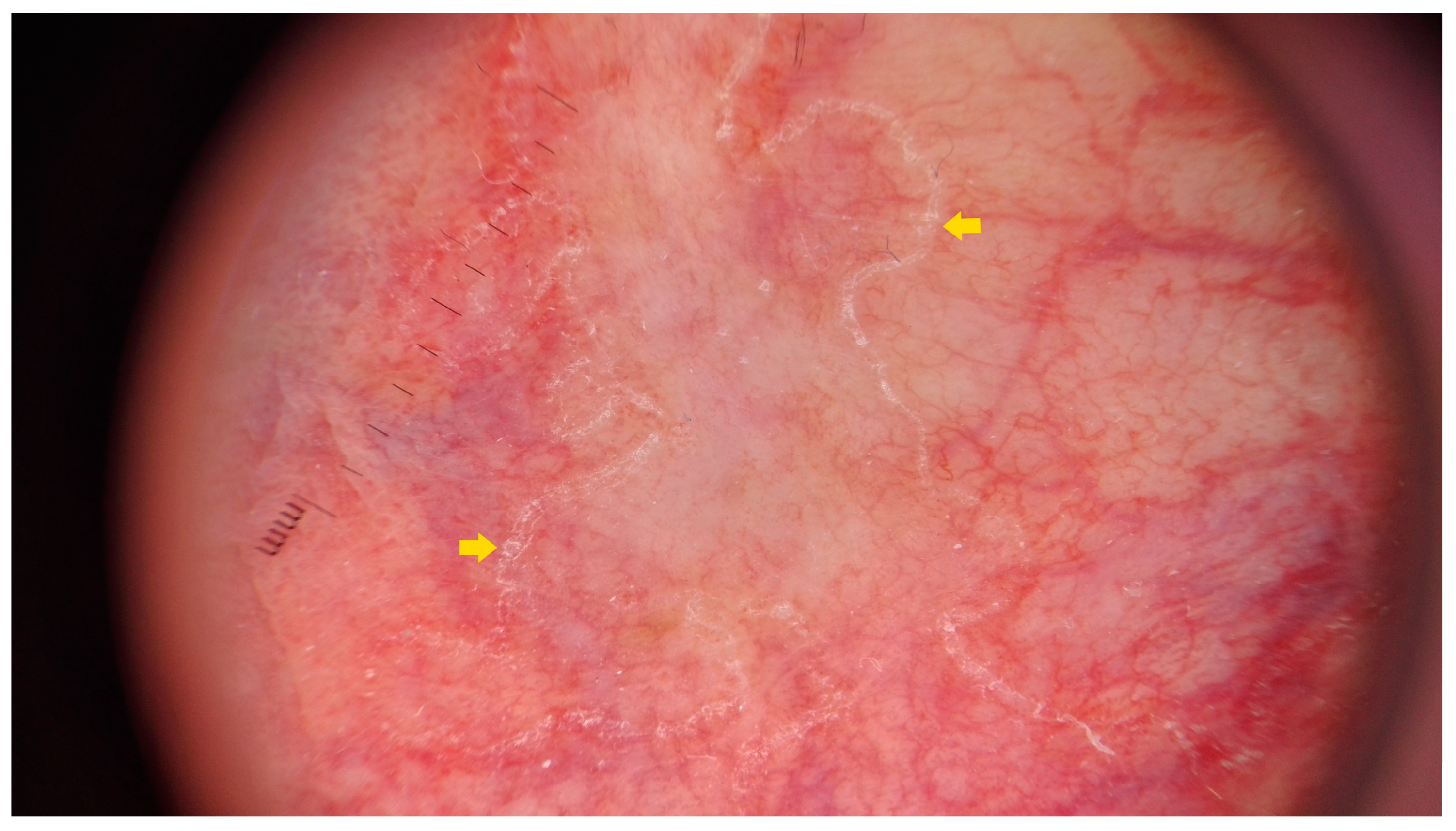 Metabolites 13 01176 g016