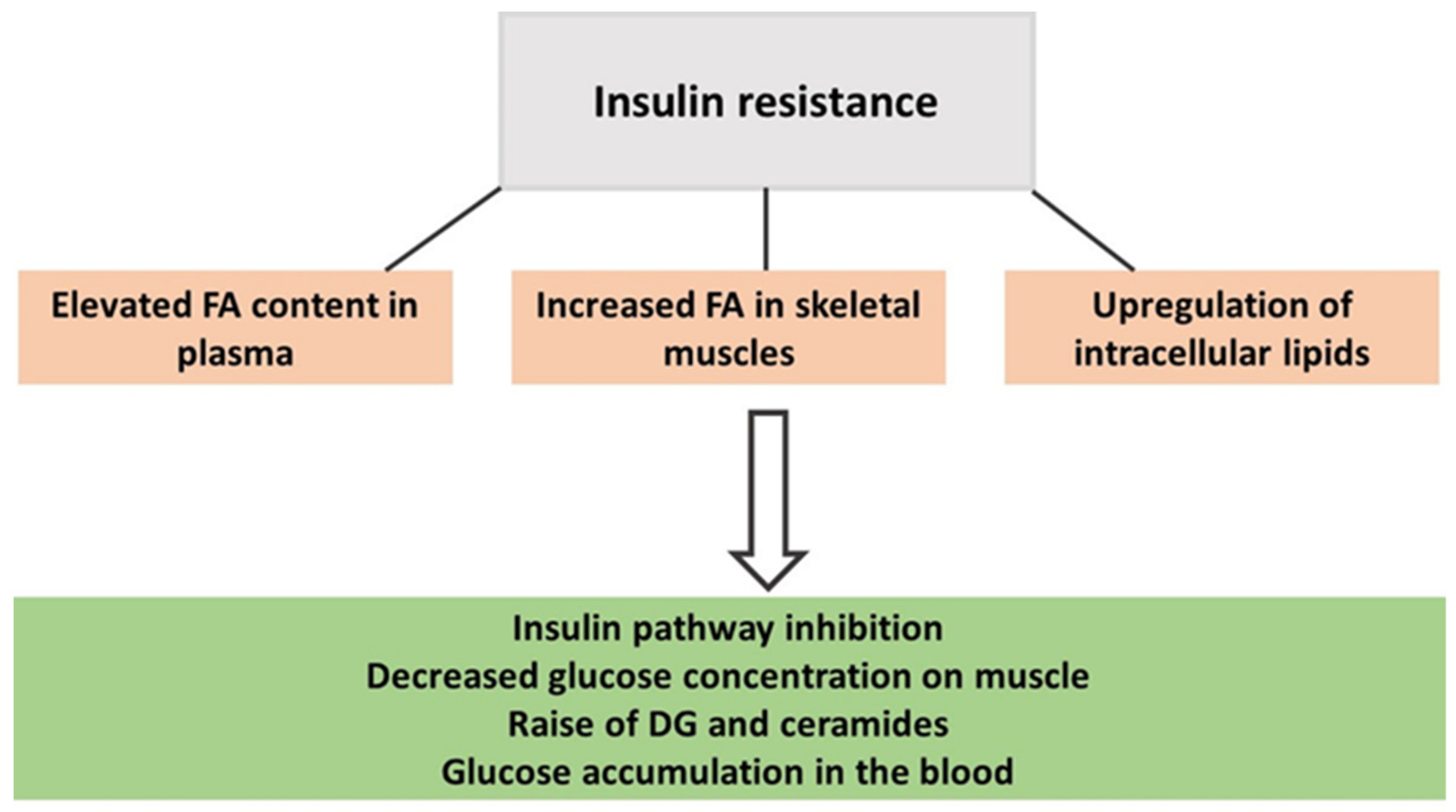 Metabolites 13 01178 g001