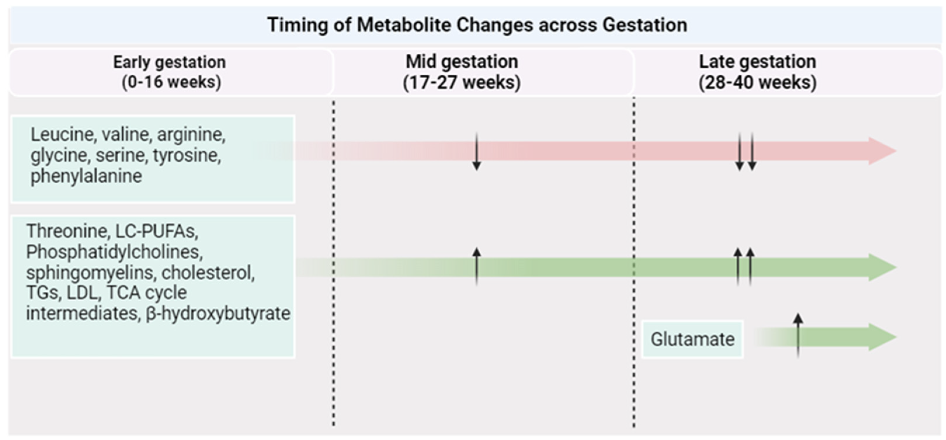 Metabolites 13 01178 g002