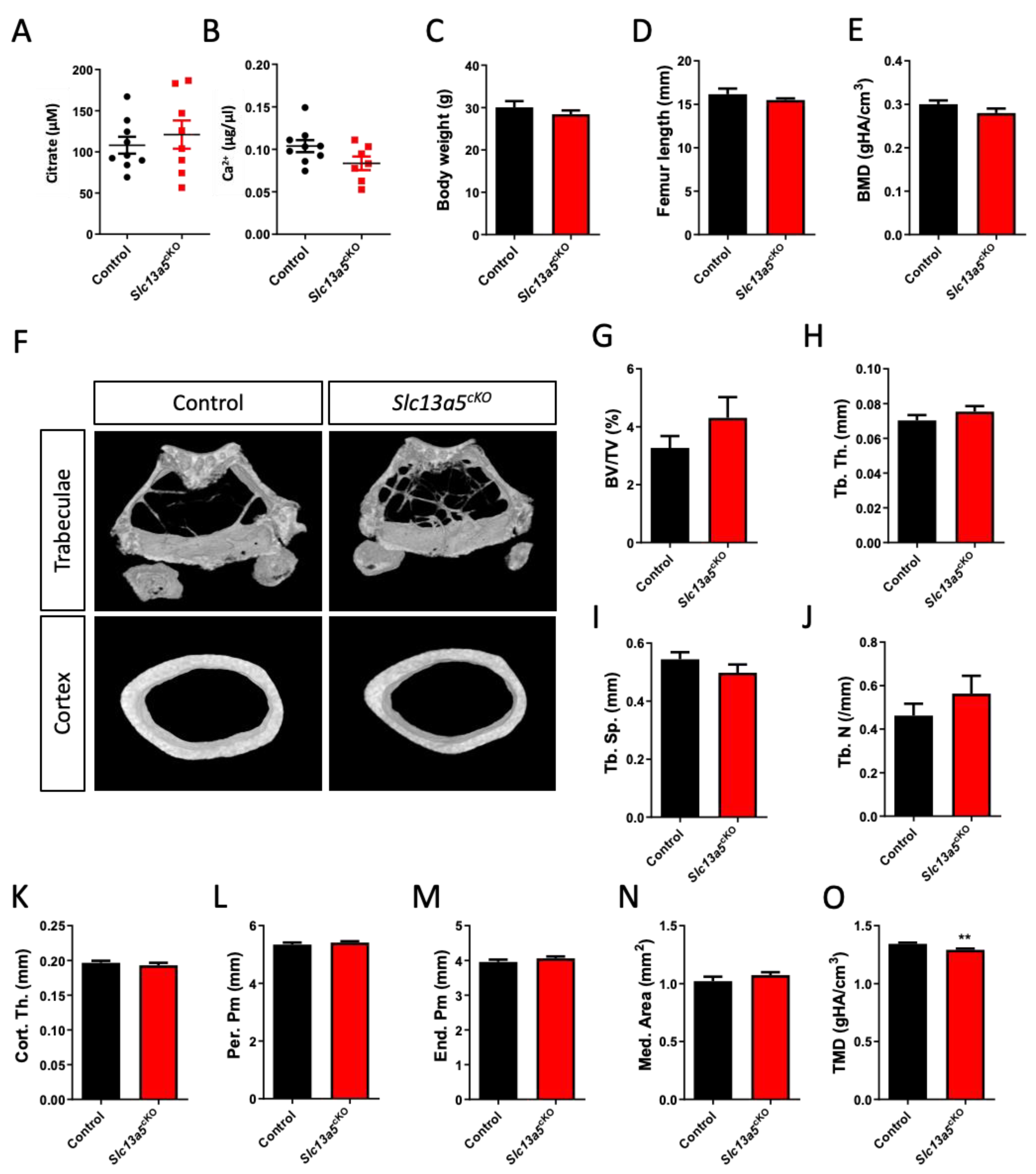 Metabolites 13 01186 g002