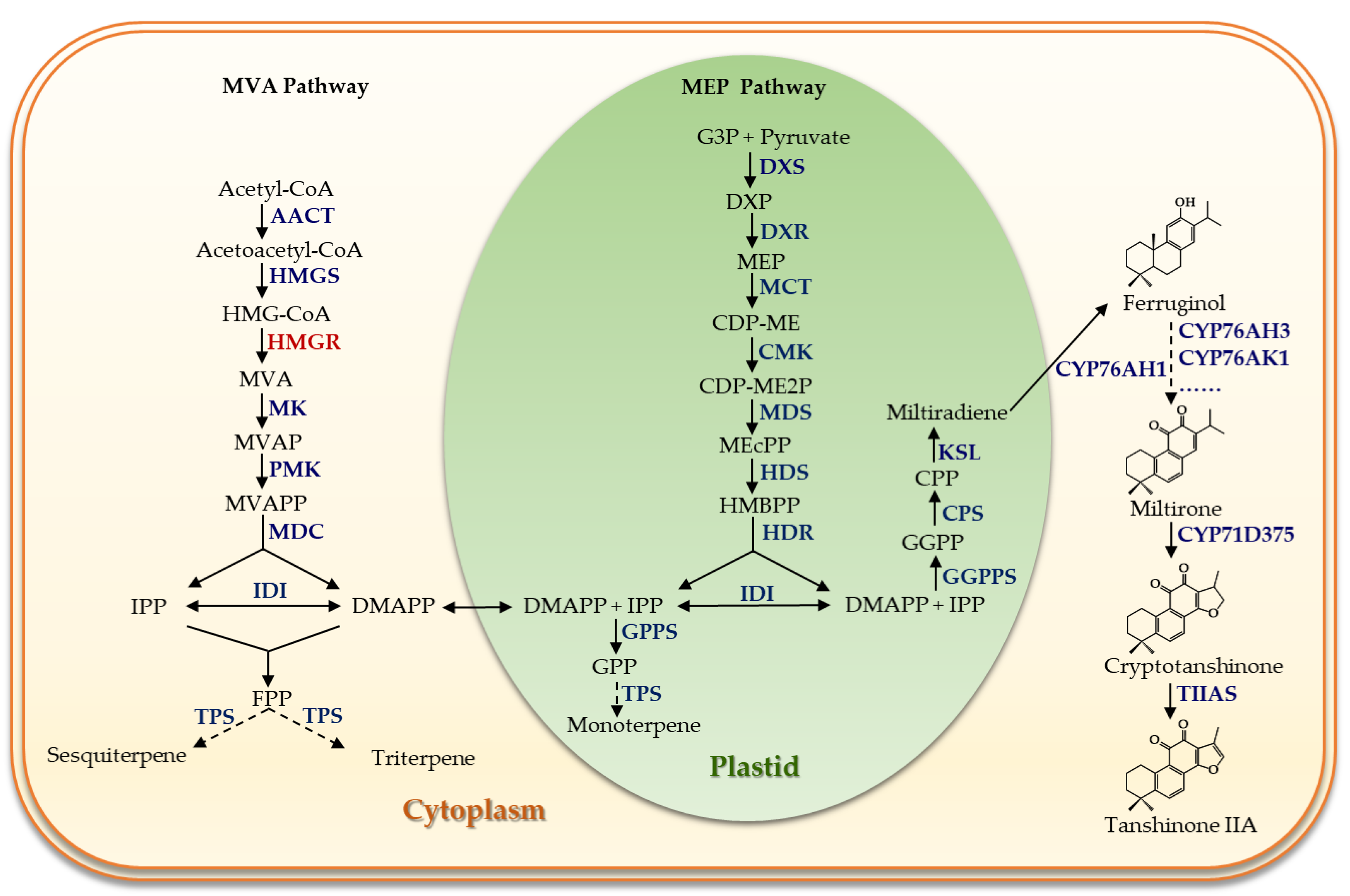 Metabolites 13 01188 g001