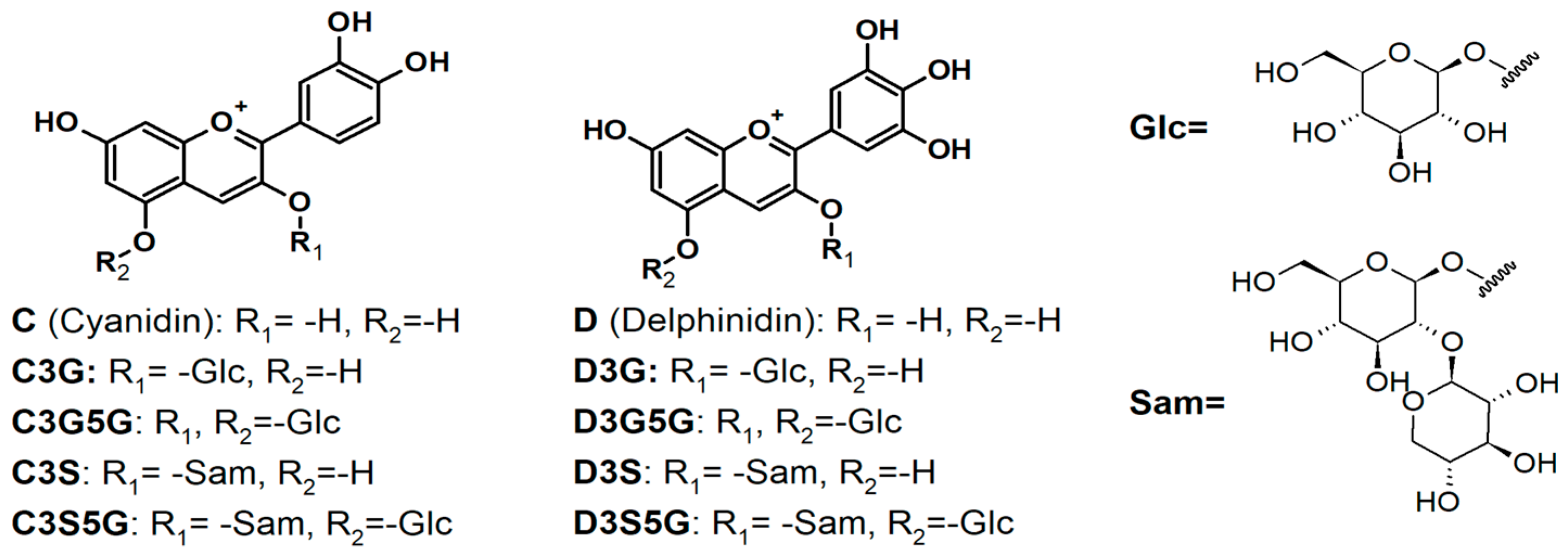 Metabolites 13 01189 g001