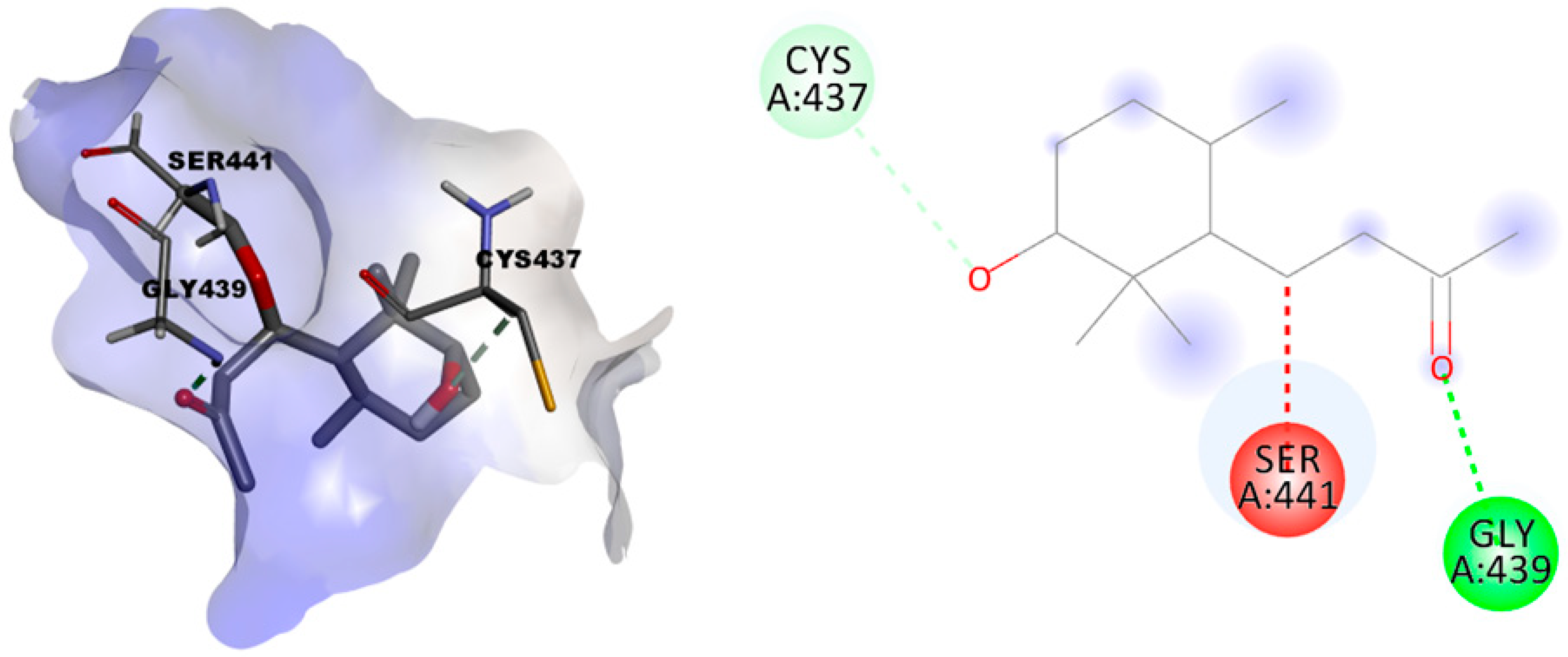 Metabolites 13 01202 g006