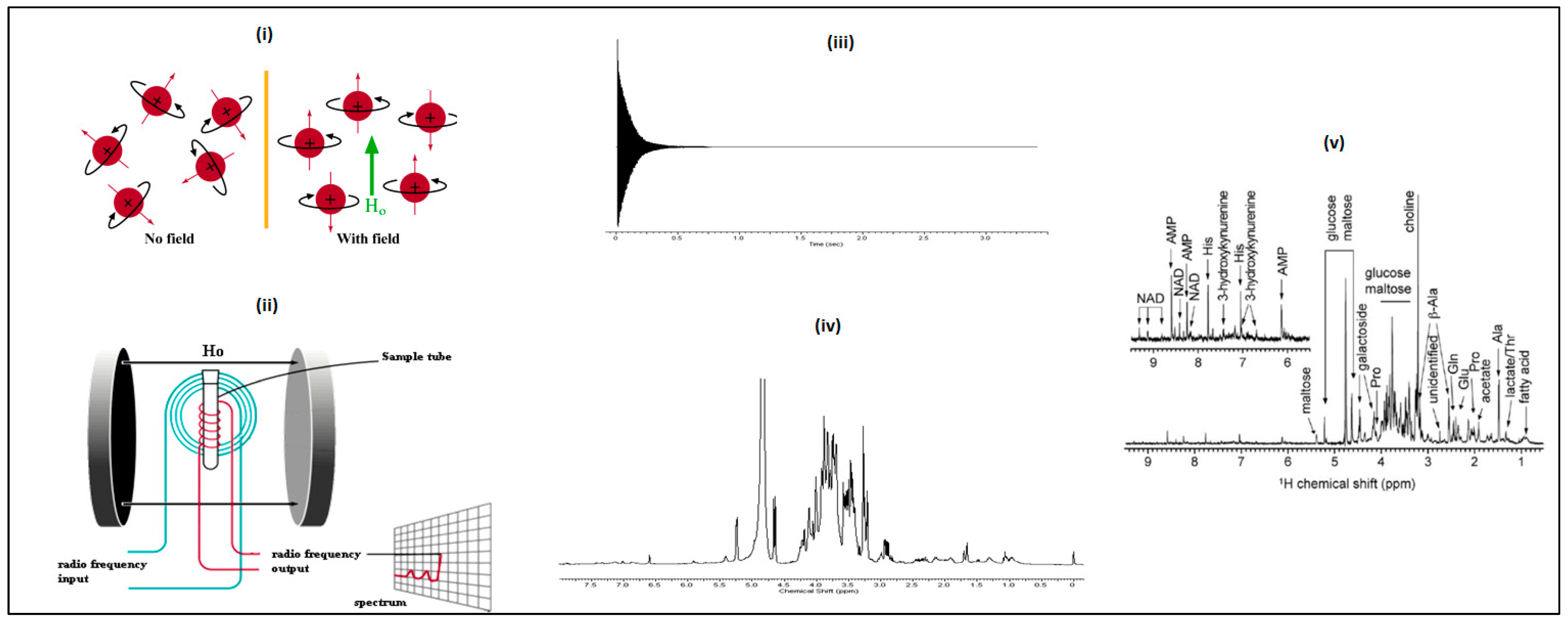 Metabolites 13 01203 g004 Metabolites 13 01203 g004