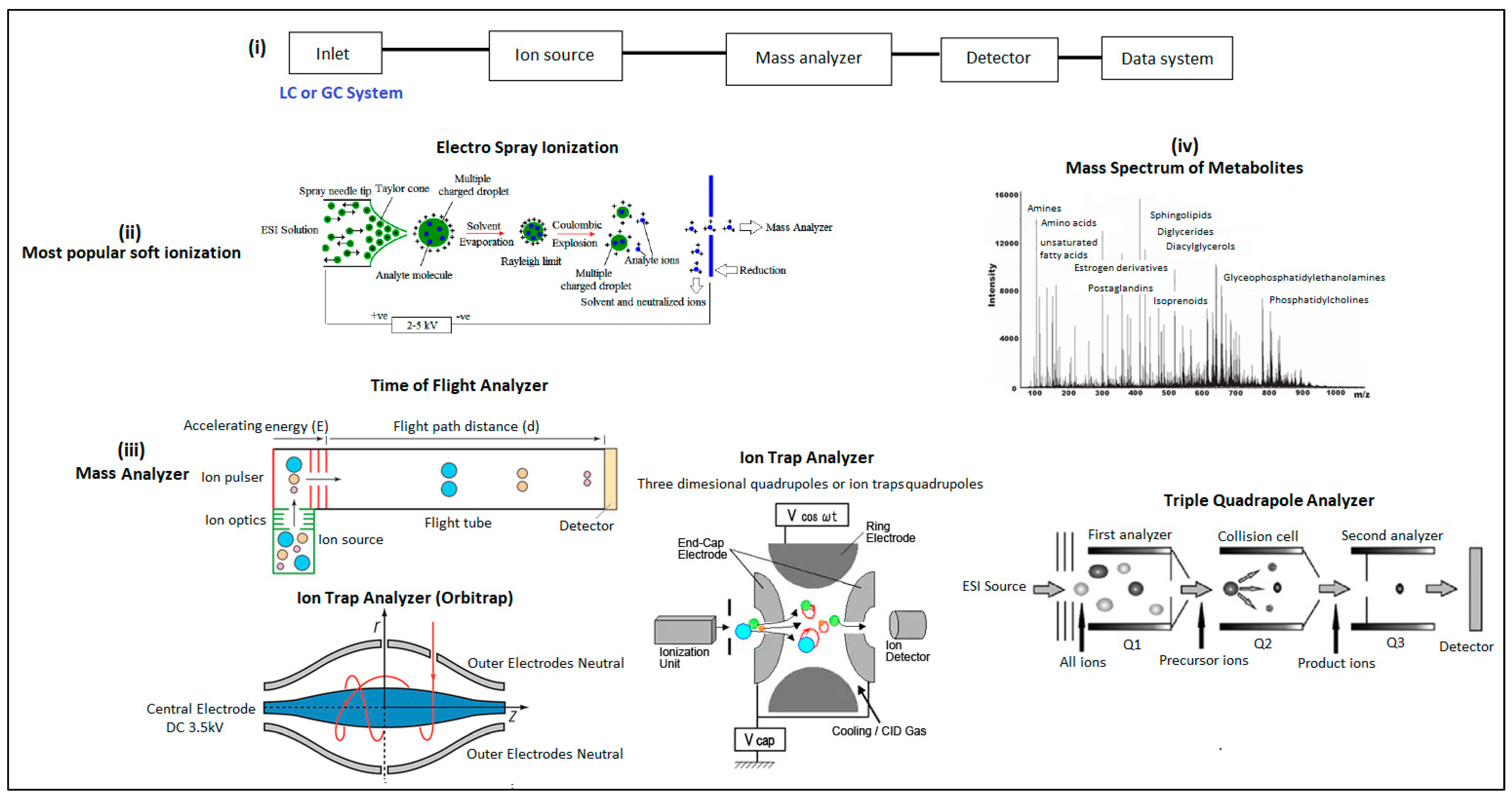 Metabolites 13 01203 g005 Metabolites 13 01203 g005