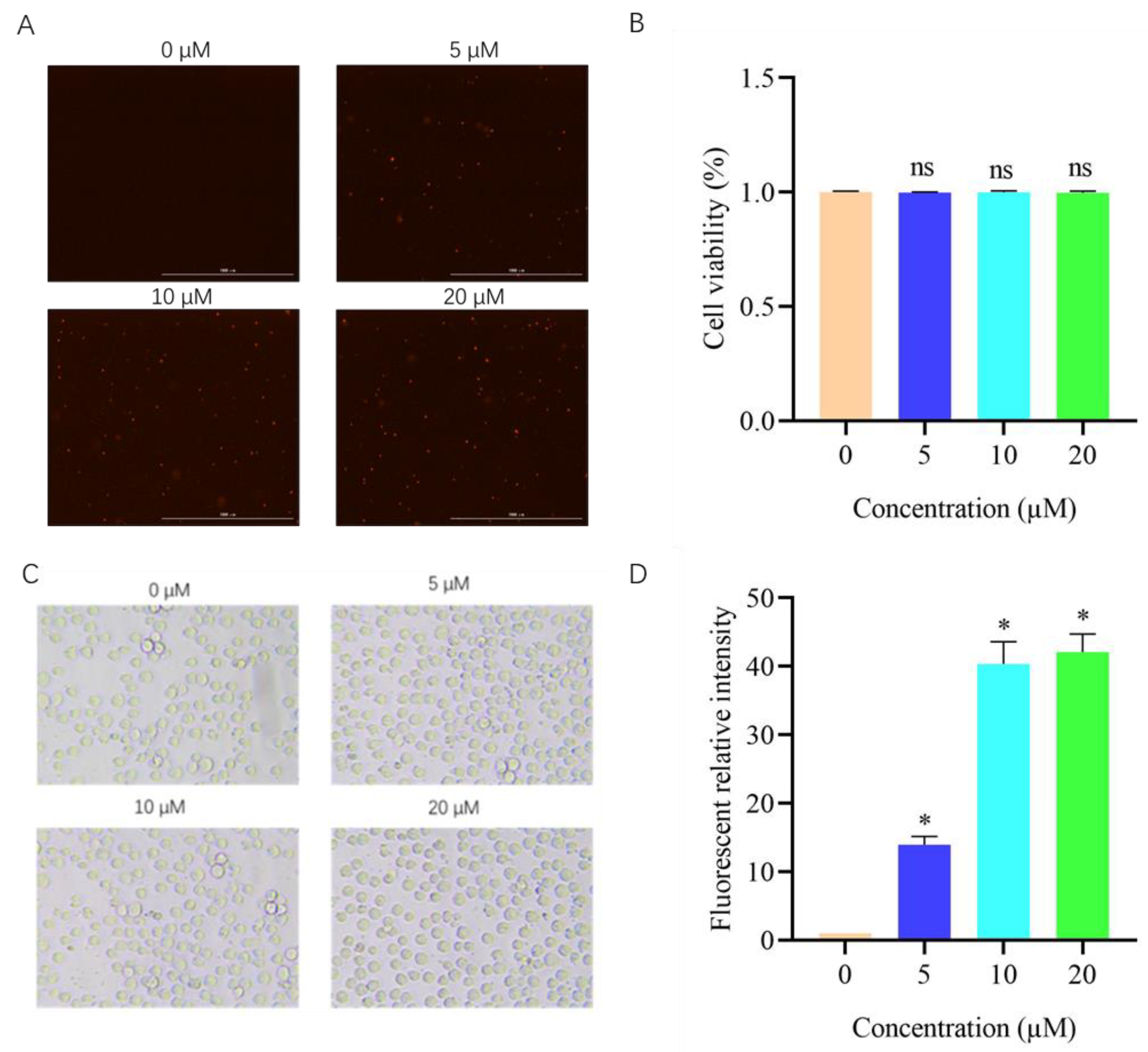 Metabolites 14 00015 g005