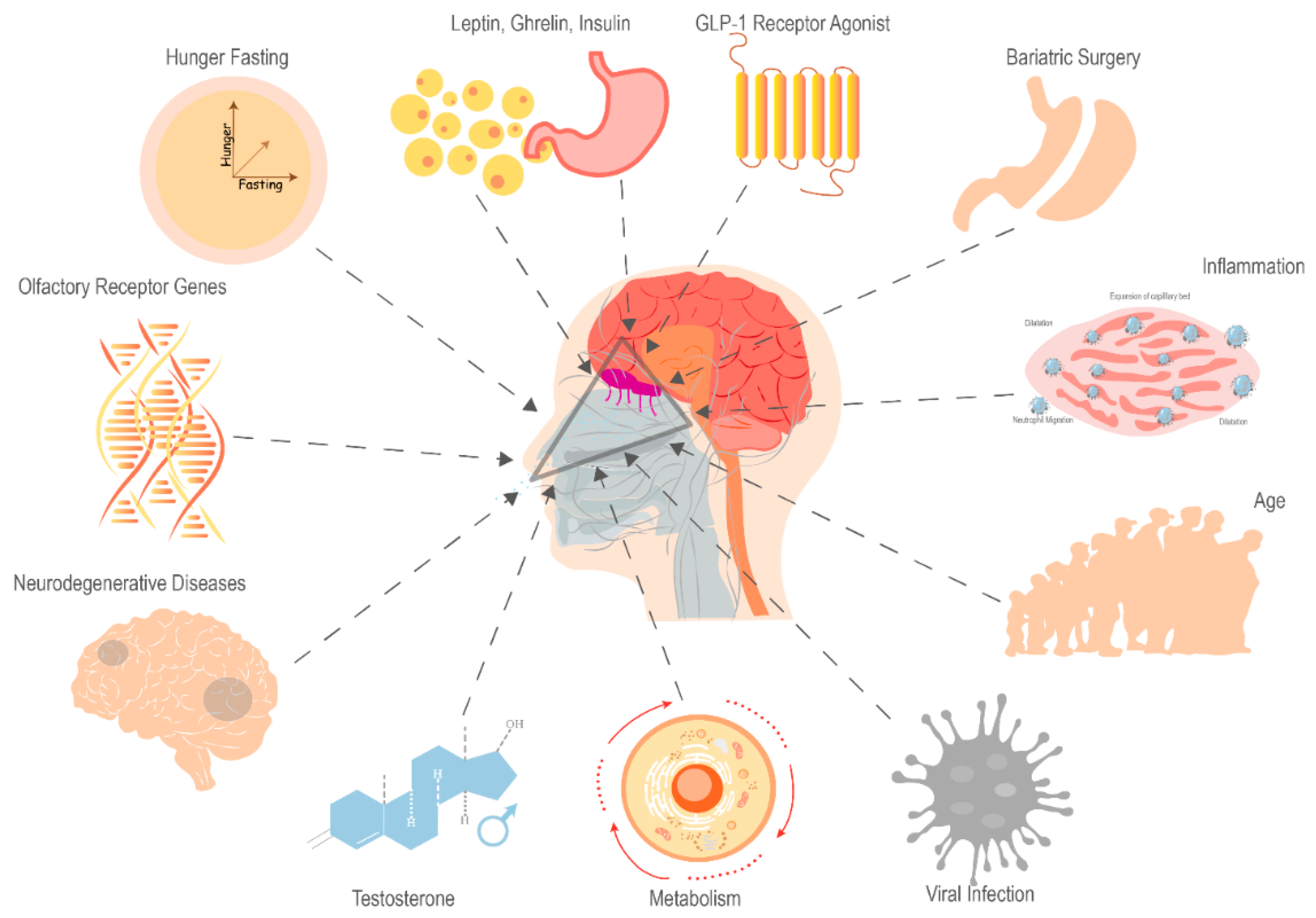 Metabolites 14 00016 g001 Metabolites 14 00016 g001