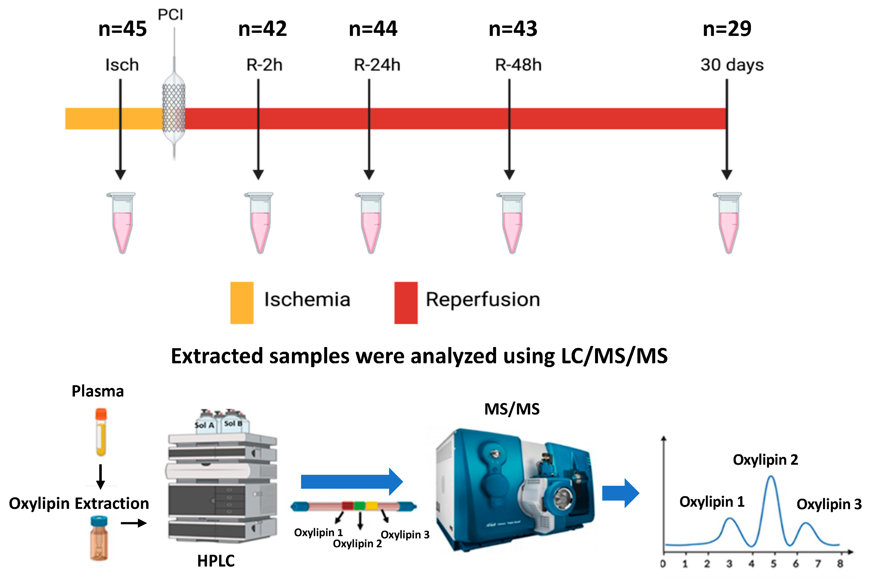 Metabolites 14 00019 g001