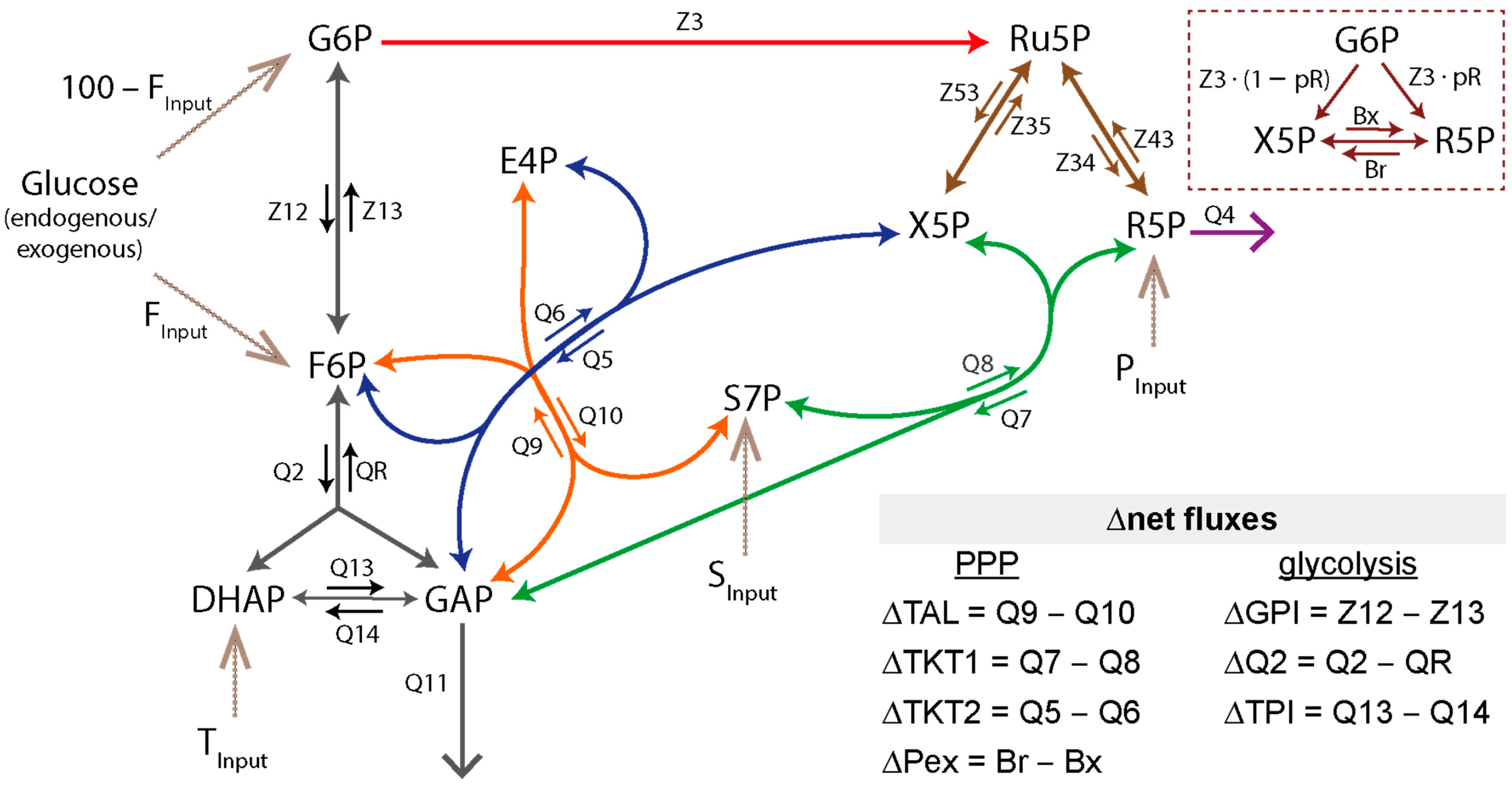 Metabolites 14 00024 g001