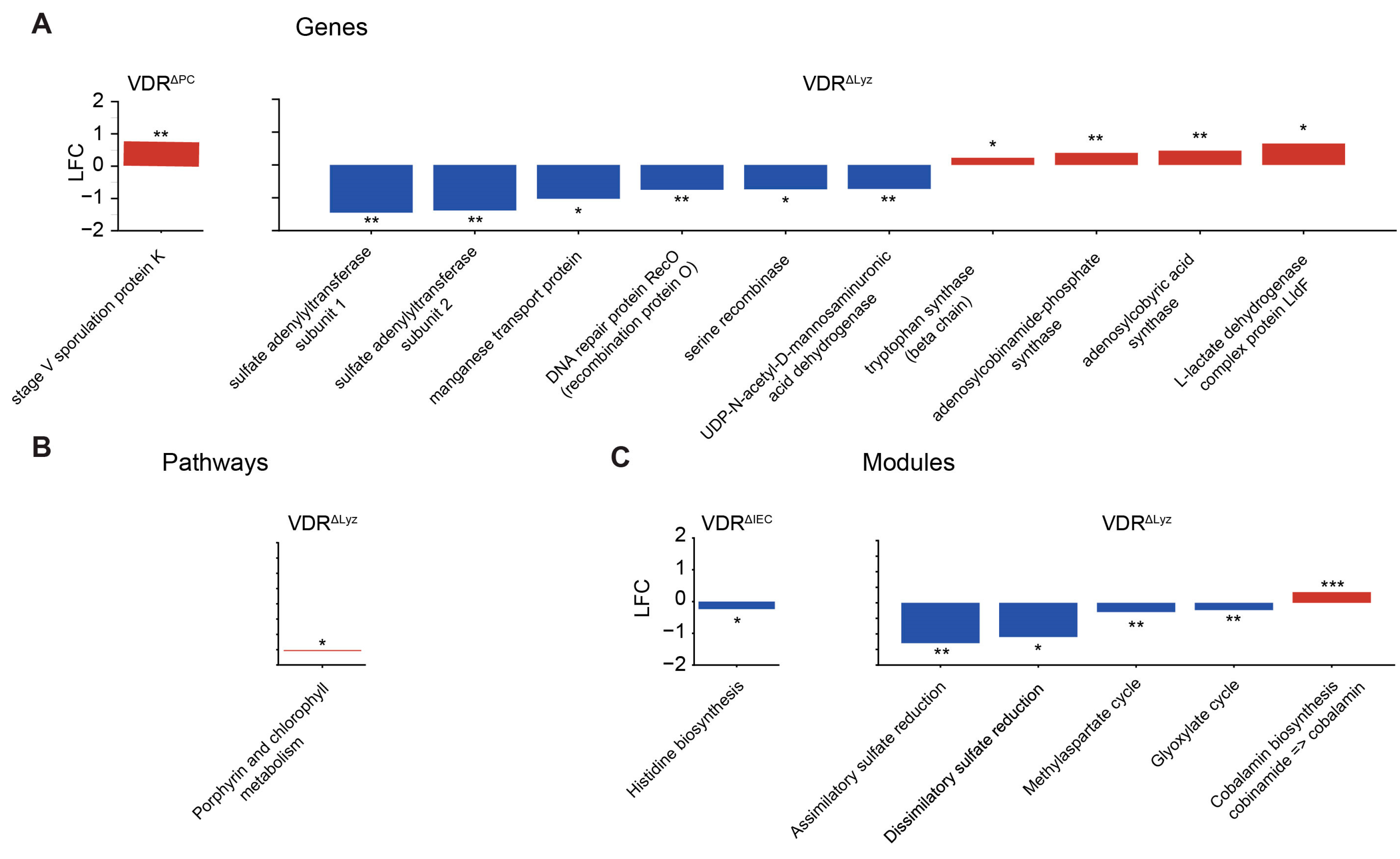Metabolites 14 00032 g010