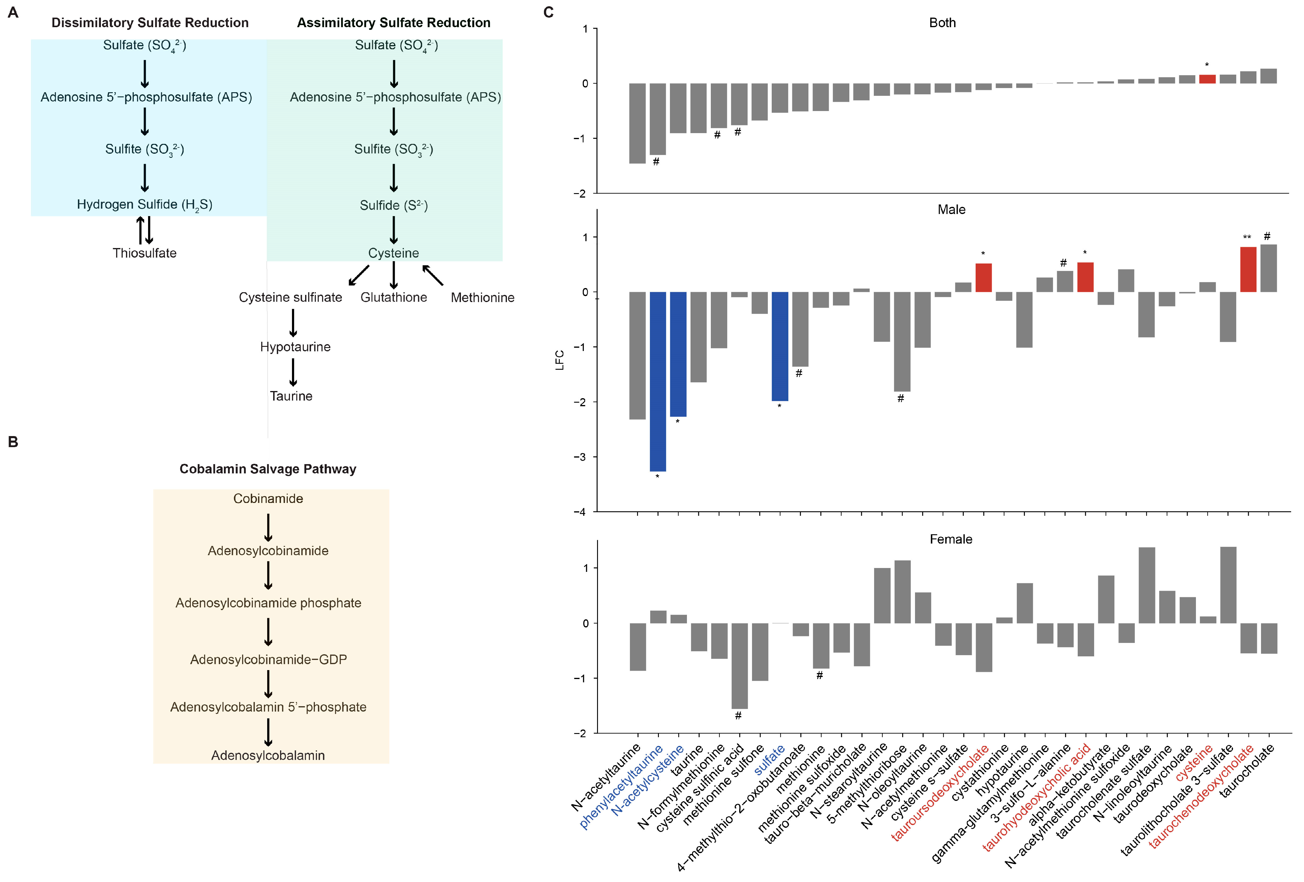 Metabolites 14 00032 g011
