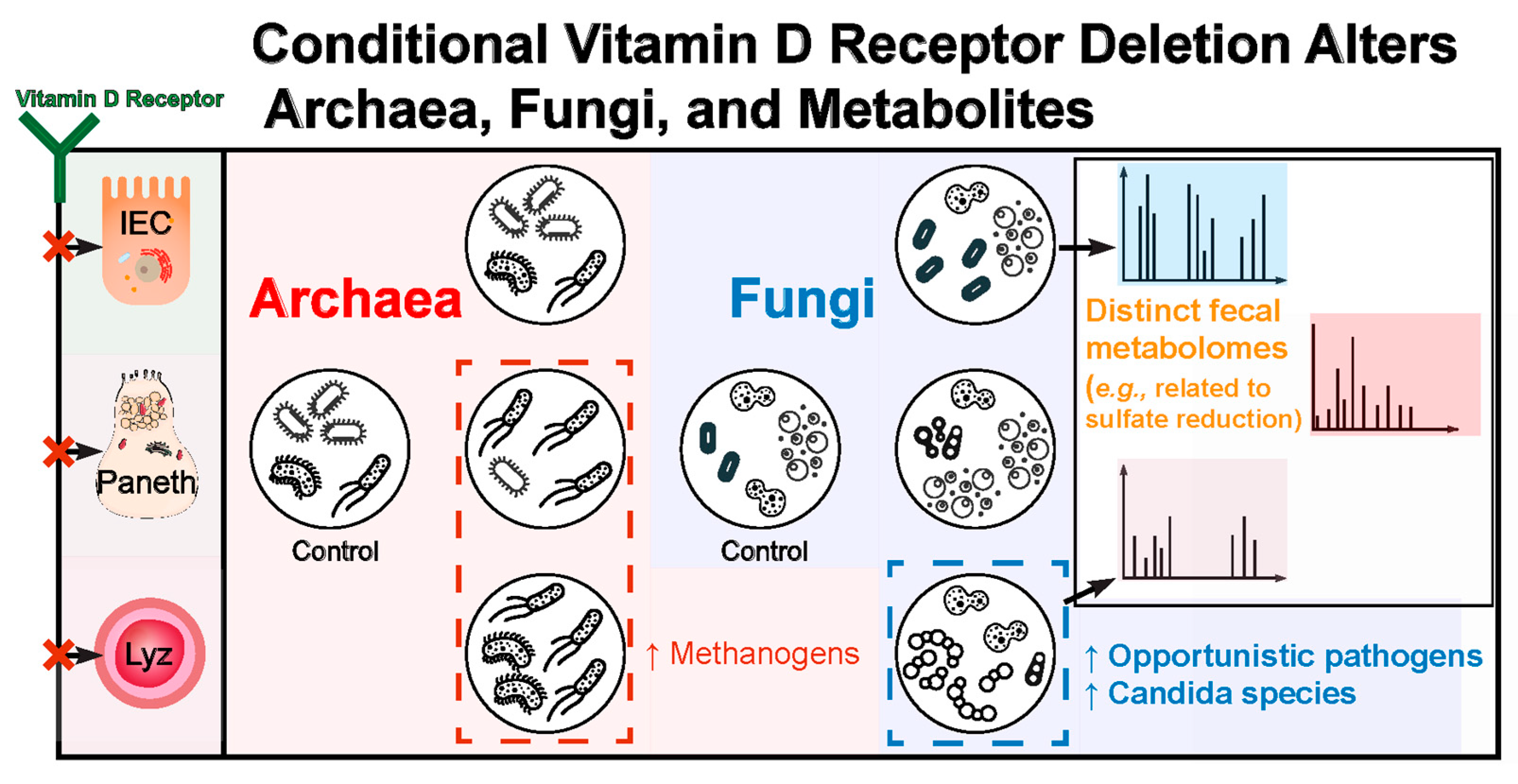 Metabolites 14 00032 g012
