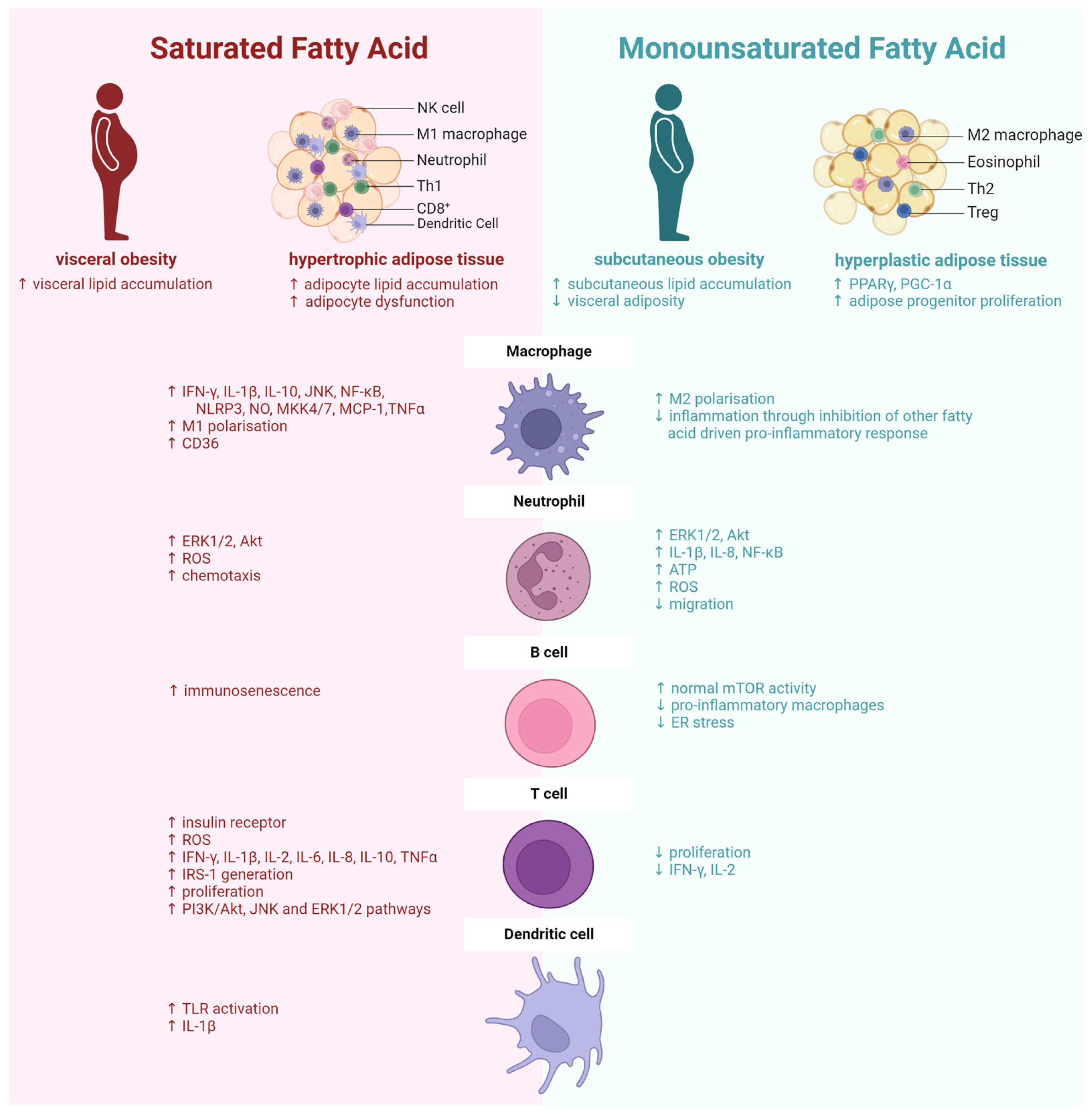 Metabolites 14 00042 g002 Metabolites 14 00042 g002