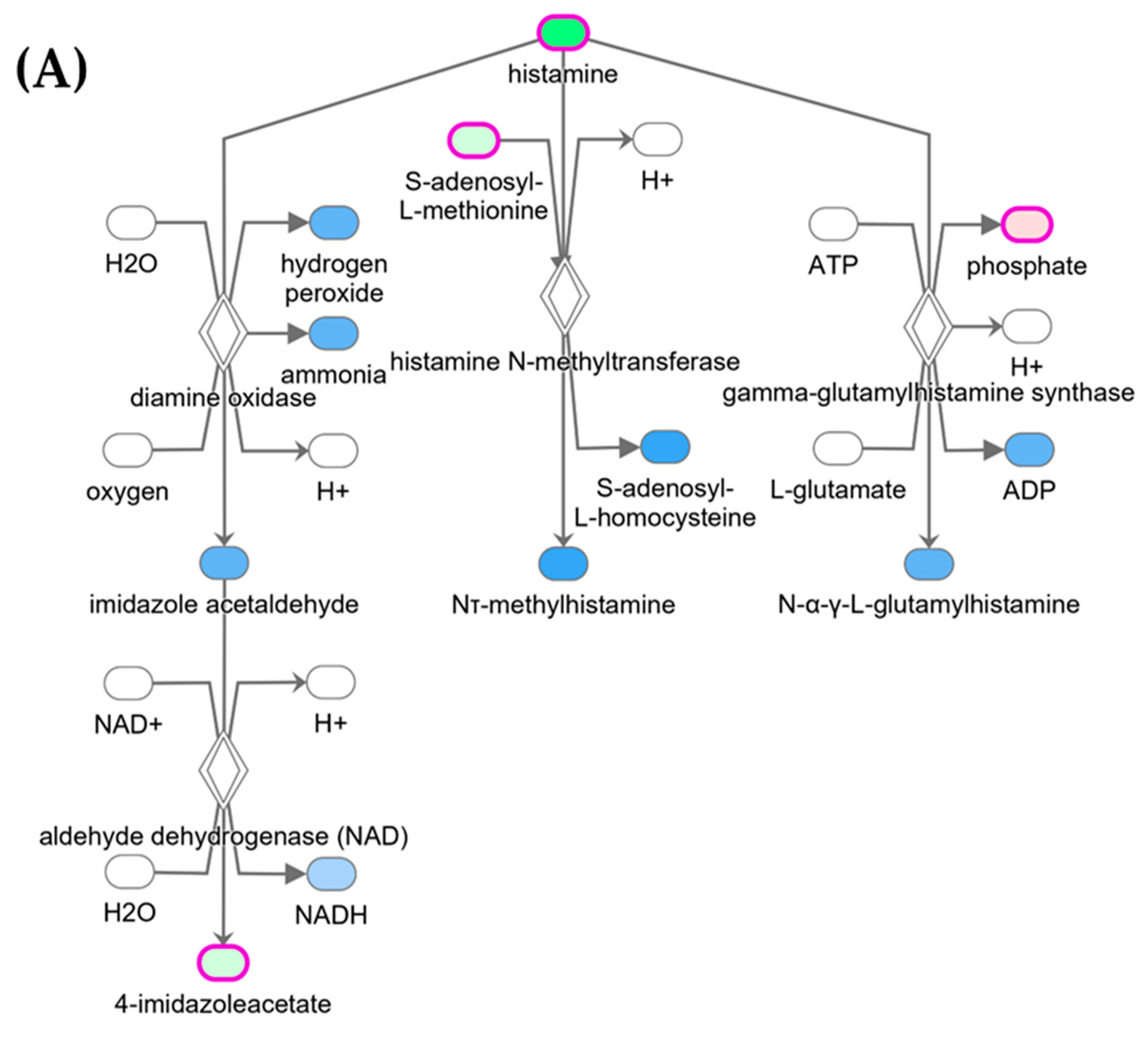 Metabolites 14 00050 g005a