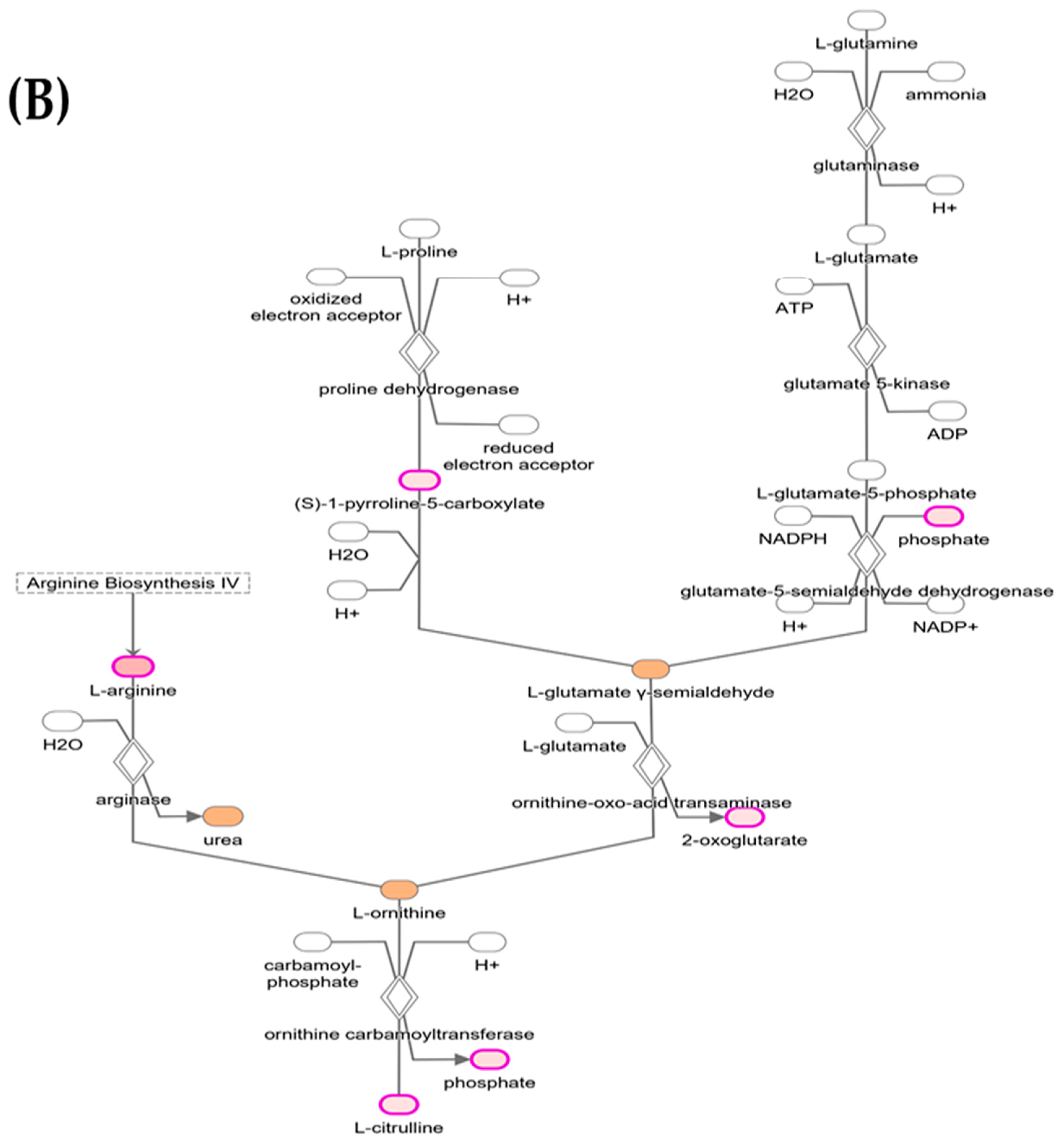 Metabolites 14 00050 g005b