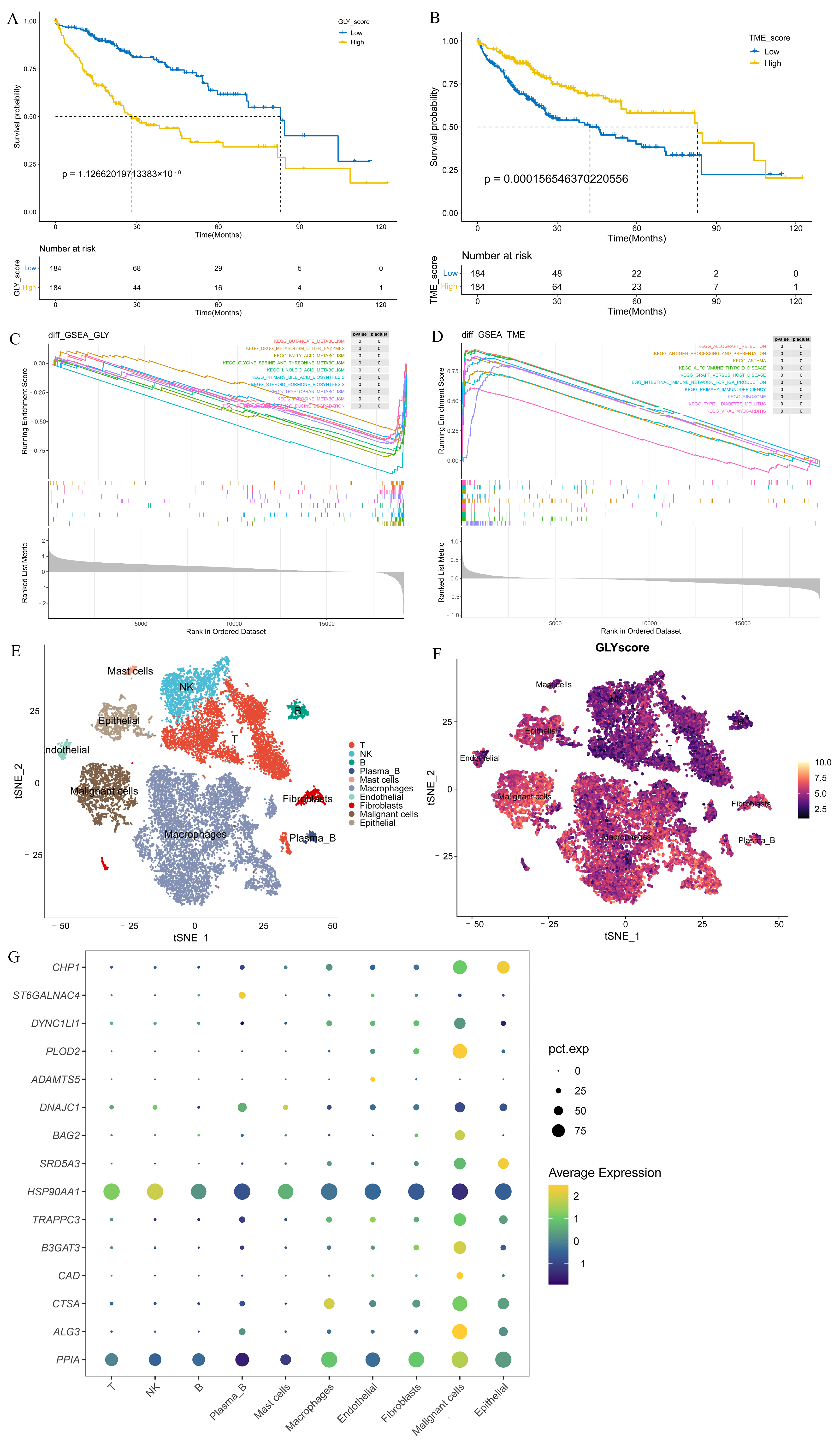 Metabolites 14 00051 g003